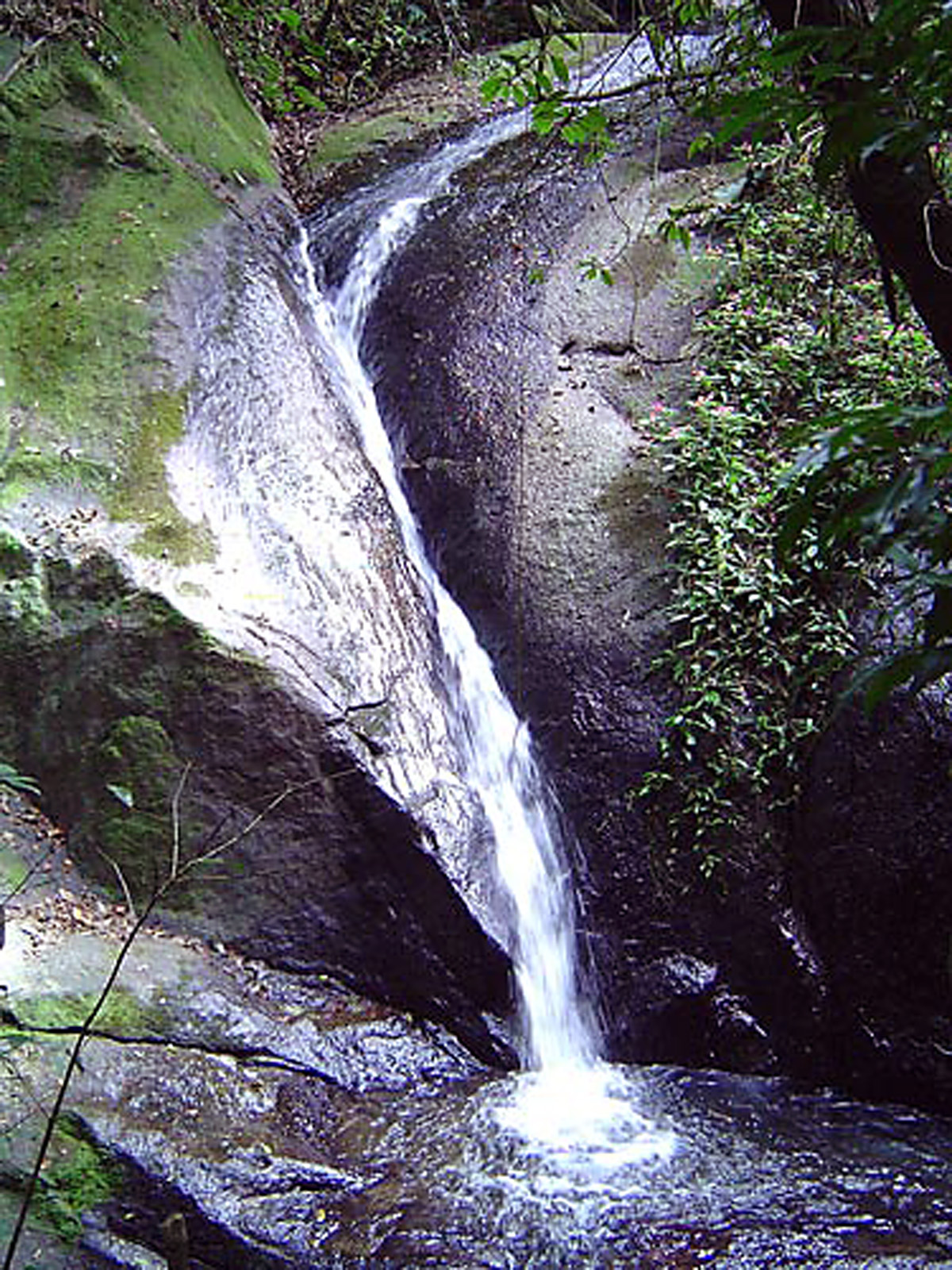 Cachoeira do Engordador<a style='float:right;color:#ccc' href='https://www3.al.sp.gov.br/repositorio/noticia/01-2011/cachoeira_engordador_500.jpg' target=_blank><i class='bi bi-zoom-in'></i> Clique para ver a imagem </a>