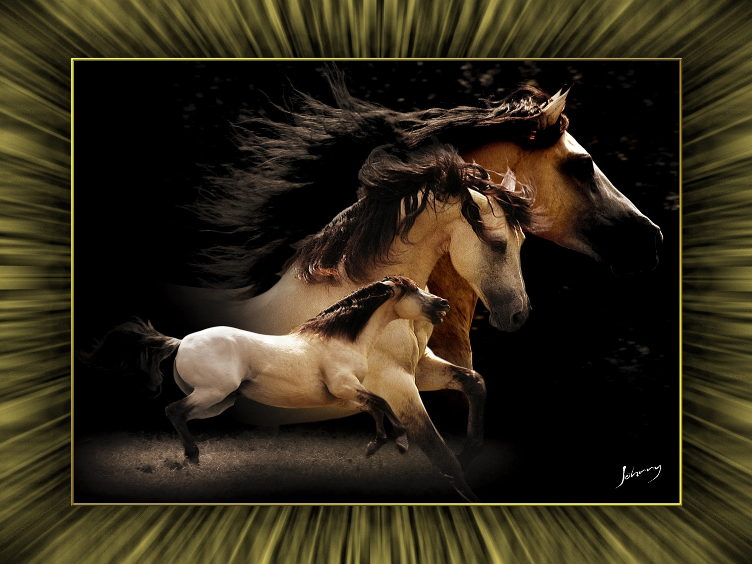 Horse<a style='float:right;color:#ccc' href='https://www3.al.sp.gov.br/repositorio/noticia/03-2008/horseassembleia.jpg' target=_blank><i class='bi bi-zoom-in'></i> Clique para ver a imagem </a>