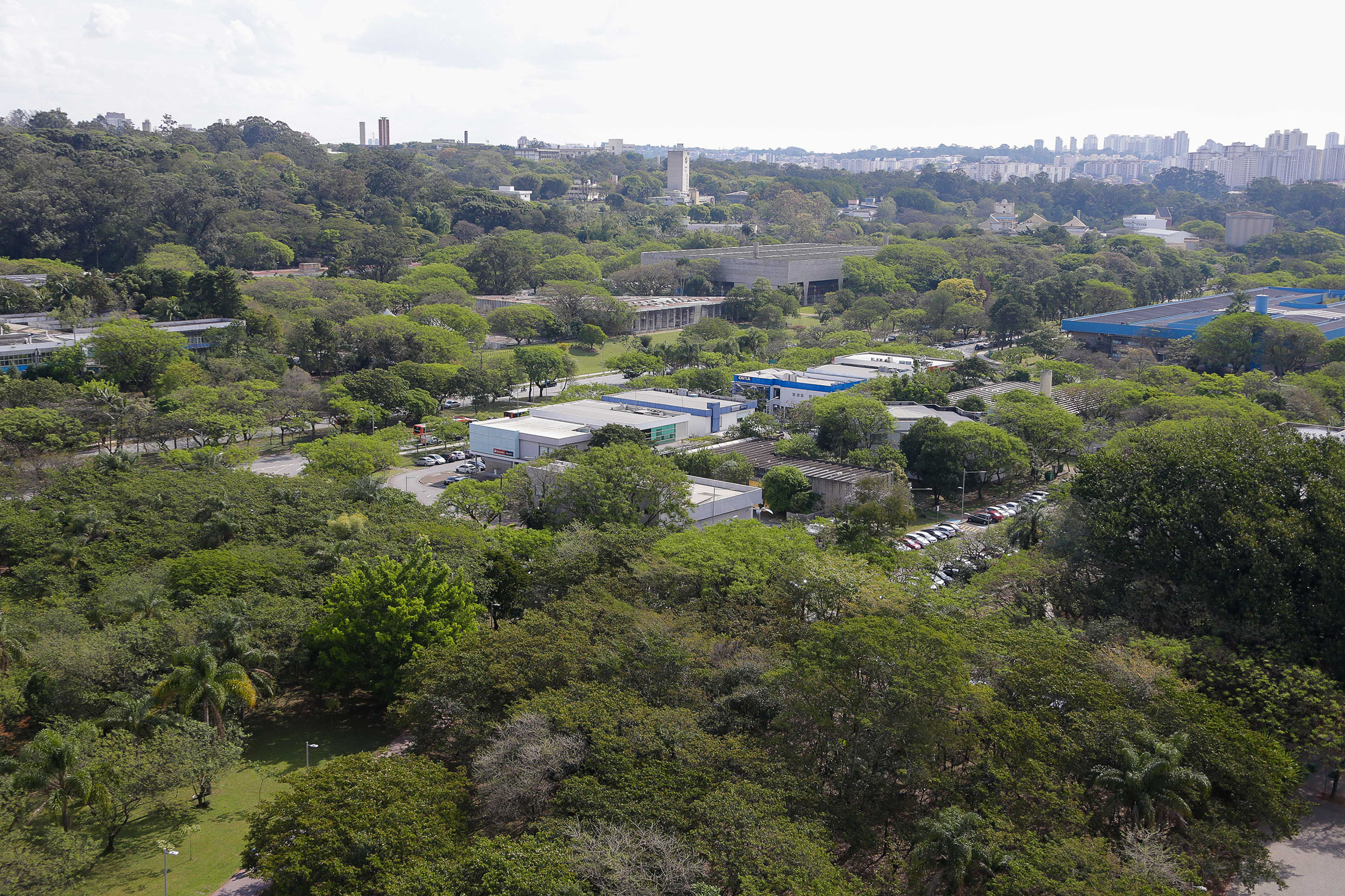 Vista do Campus<a style='float:right' href='https://www3.al.sp.gov.br/repositorio/noticia/N-01-2021/fg259965.jpg' target=_blank><img src='/_img/material-file-download-white.png' width='14px' alt='Clique para baixar a imagem'></a>