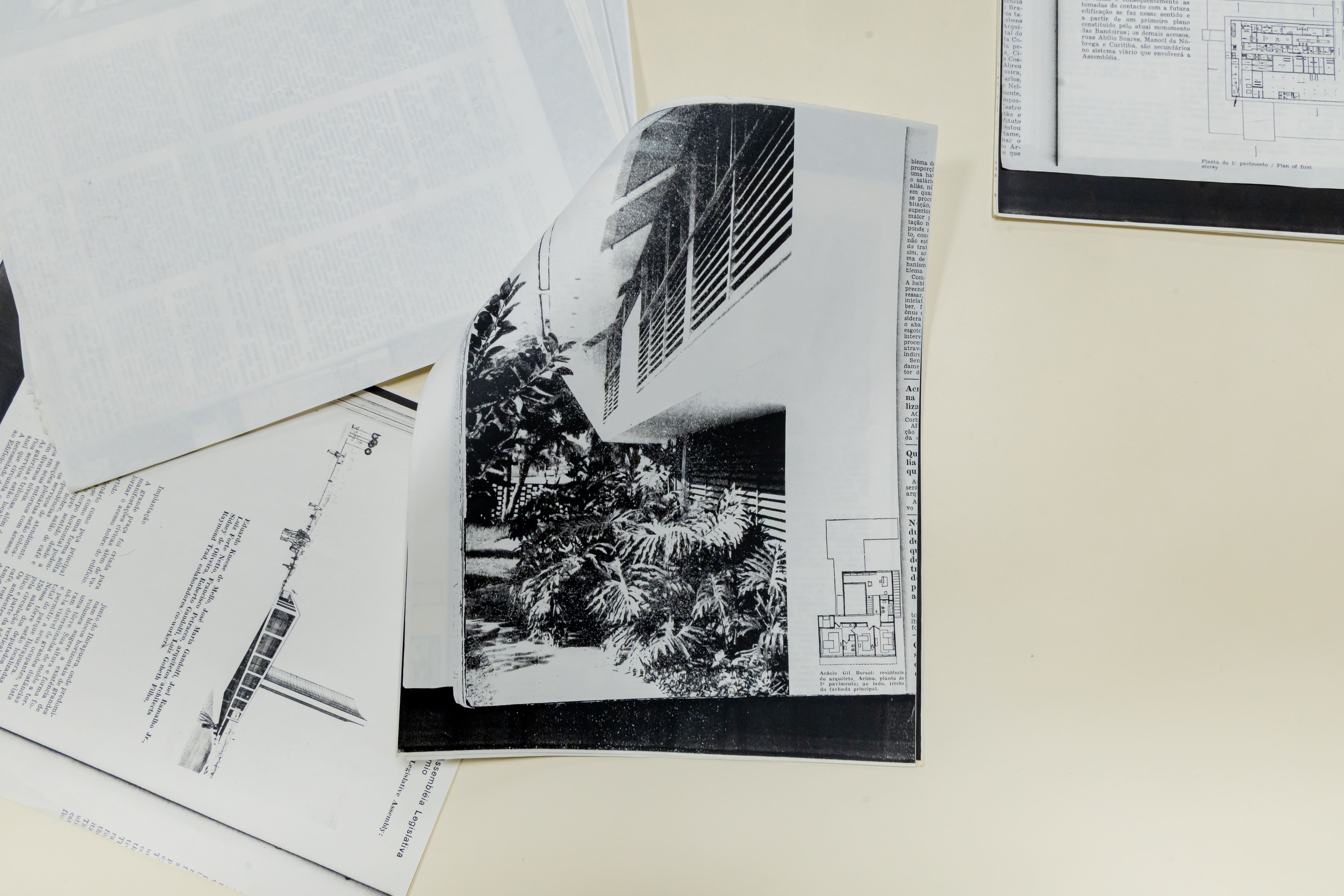 Inspira��es para o futuro jardim da Alesp<a style='float:right;color:#ccc' href='https://www3.al.sp.gov.br/repositorio/noticia/N-01-2026/fg359529.jpg' target=_blank><i class='bi bi-zoom-in'></i> Clique para ver a imagem </a>