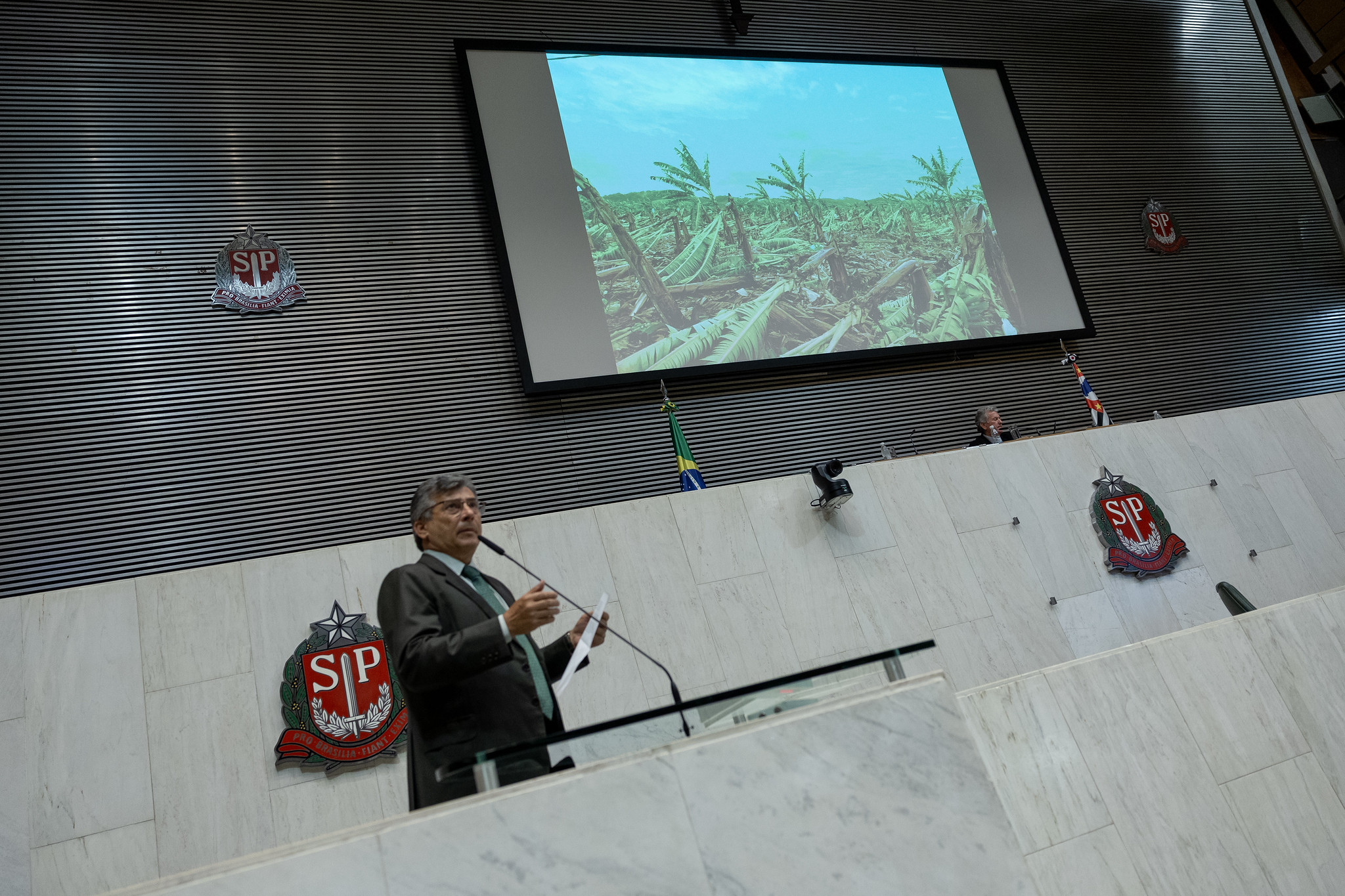 Simo Pedro falou sobre tempestades em SP<a style='float:right;color:#ccc' href='https://www3.al.sp.gov.br/repositorio/noticia/N-02-2024/fg318962.jpg' target=_blank><i class='bi bi-zoom-in'></i> Clique para ver a imagem </a>