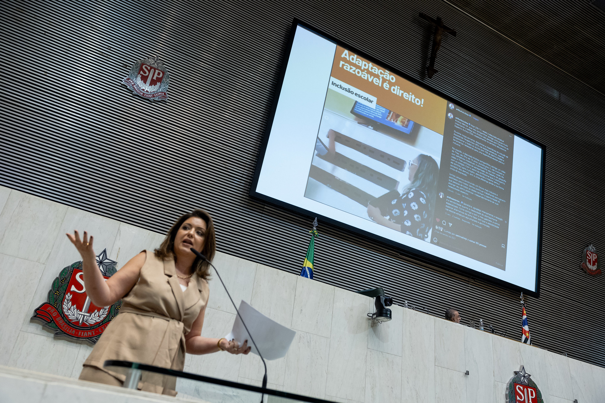 Deputada Andrea Werner defende seu projeto de lei<a style='float:right;color:#ccc' href='https://www3.al.sp.gov.br/repositorio/noticia/N-02-2024/fg319599.jpg' target=_blank><i class='bi bi-zoom-in'></i> Clique para ver a imagem </a>