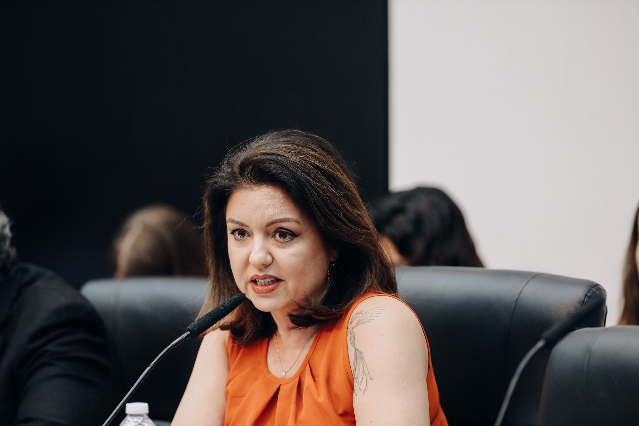 Dep. Andra Werner (PSB)<a style='float:right;color:#ccc' href='https://www3.al.sp.gov.br/repositorio/noticia/N-02-2025/fg340552.jpg' target=_blank><i class='bi bi-zoom-in'></i> Clique para ver a imagem </a>