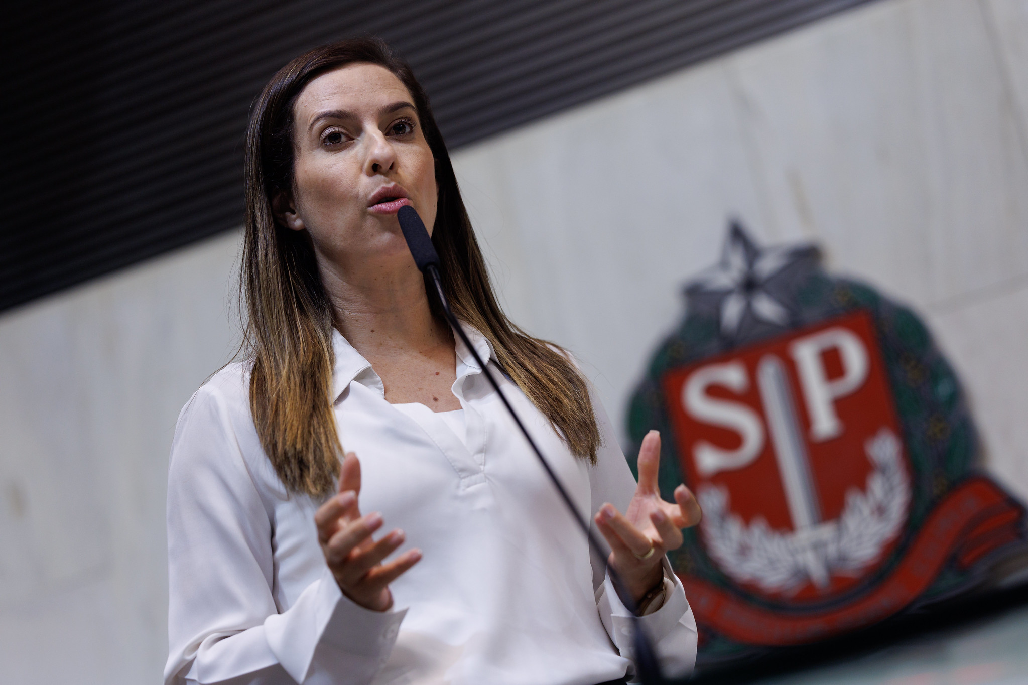 Professora Camila Godoi (PSB): Combate ao C�ncer<a style='float:right;color:#ccc' href='https://www3.al.sp.gov.br/repositorio/noticia/N-02-2026/fg360005.jpg' target=_blank><i class='bi bi-zoom-in'></i> Clique para ver a imagem </a>