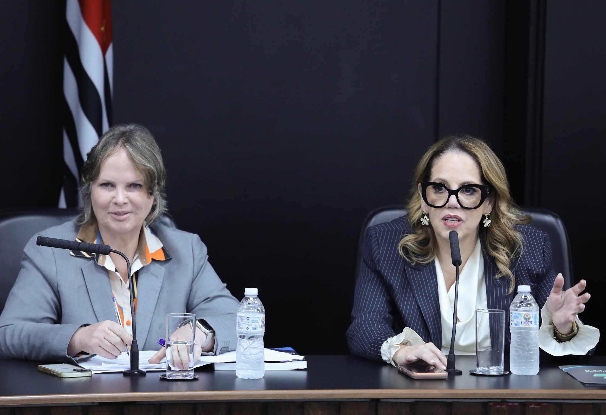 Deputada e homenageada<a style='float:right;color:#ccc' href='https://www3.al.sp.gov.br/repositorio/noticia/N-02-2026/fg360065.jpg' target=_blank><i class='bi bi-zoom-in'></i> Clique para ver a imagem </a>