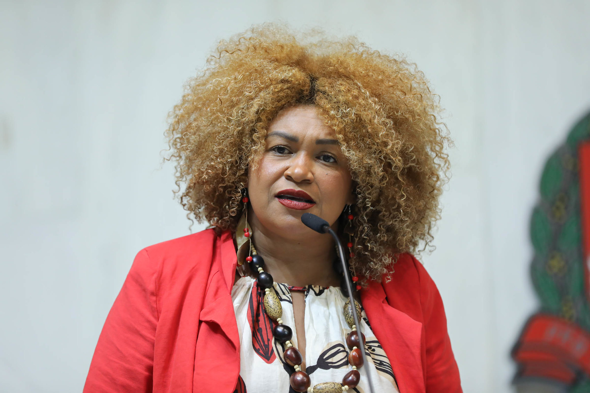 Deputada Ediane Maria<a style='float:right;color:#ccc' href='https://www3.al.sp.gov.br/repositorio/noticia/N-02-2026/fg360384.jpg' target=_blank><i class='bi bi-zoom-in'></i> Clique para ver a imagem </a>