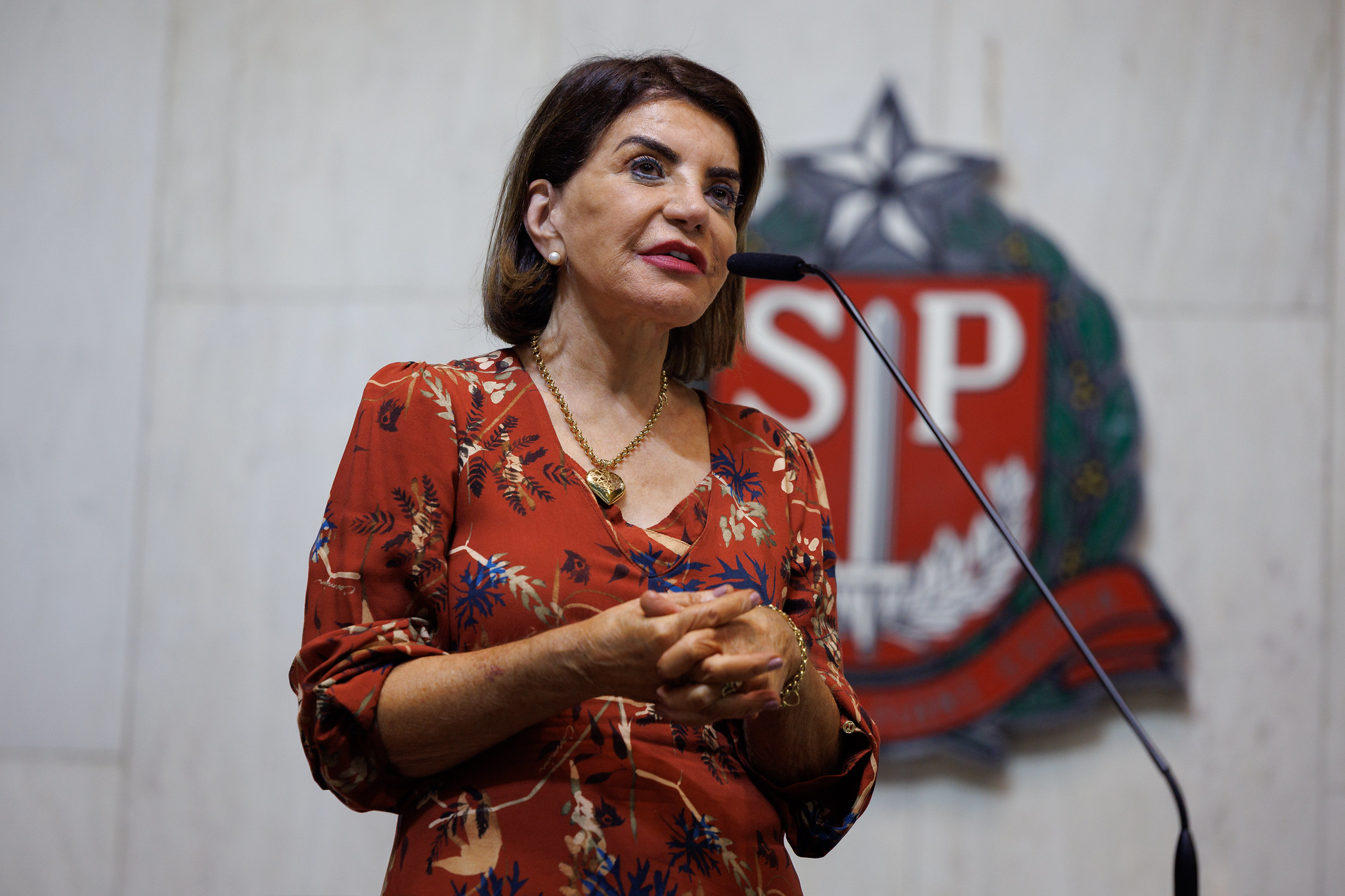 Deputada Professora Bebel <a style='float:right' href='https://www3.al.sp.gov.br/repositorio/noticia/N-02-2026/fg360979.jpg' target=_blank><img src='/_img/material-file-download-white.png' width='14px' alt='Clique para baixar a imagem'></a>
