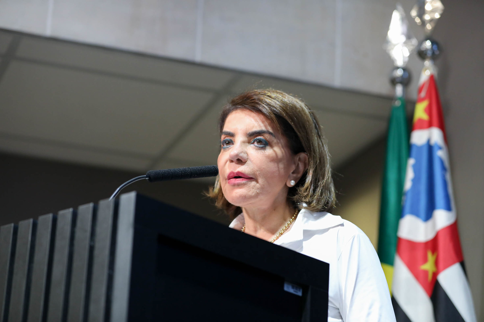 Bebel: reforma imposta sem negocia��o<a style='float:right' href='https://www3.al.sp.gov.br/repositorio/noticia/N-02-2026/fg361045.jpg' target=_blank><img src='/_img/material-file-download-white.png' width='14px' alt='Clique para baixar a imagem'></a>
