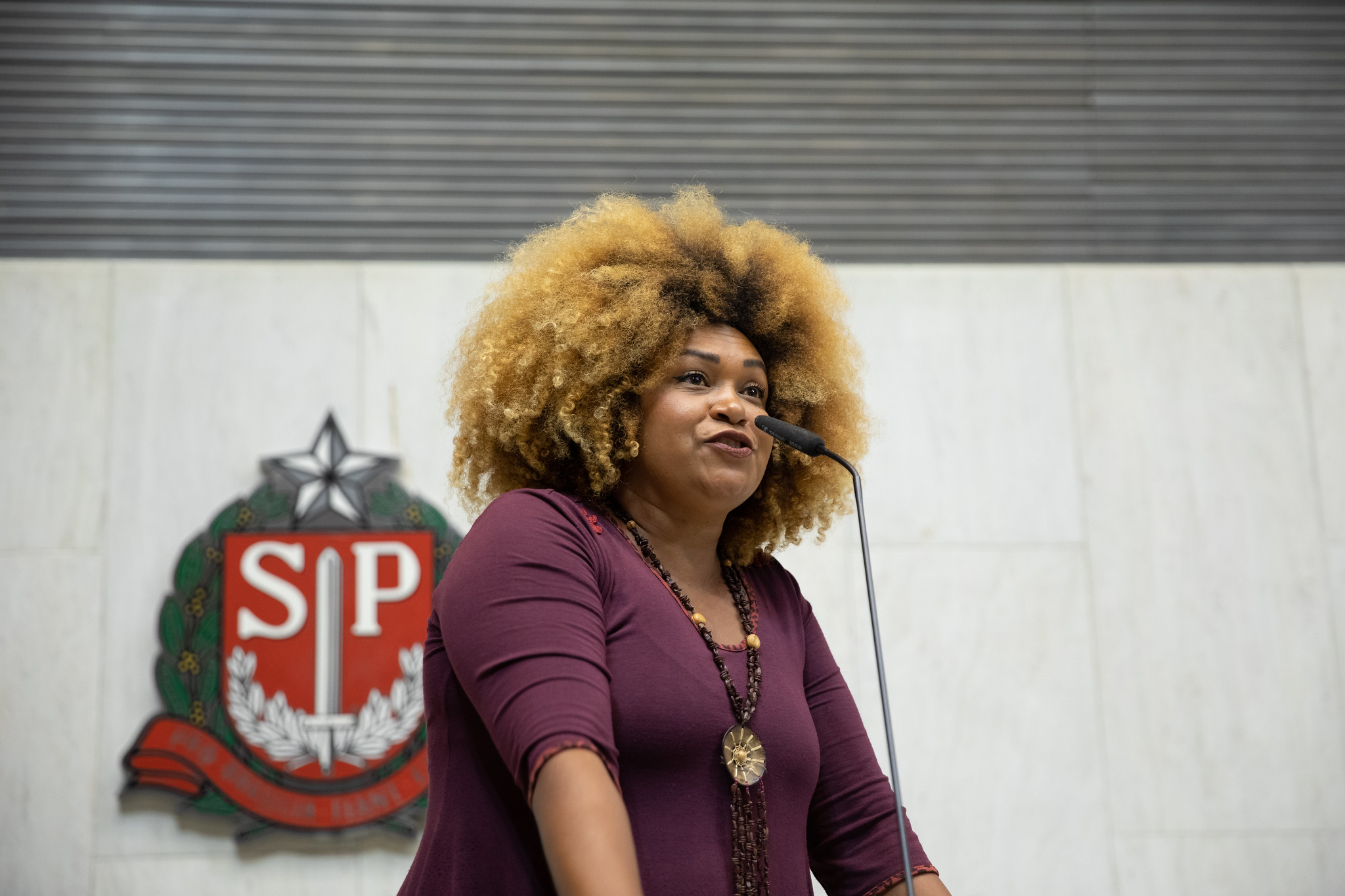 Deputada Ediane Maria<a style='float:right;color:#ccc' href='https://www3.al.sp.gov.br/repositorio/noticia/N-03-2024/fg320600.jpg' target=_blank><i class='bi bi-zoom-in'></i> Clique para ver a imagem </a>