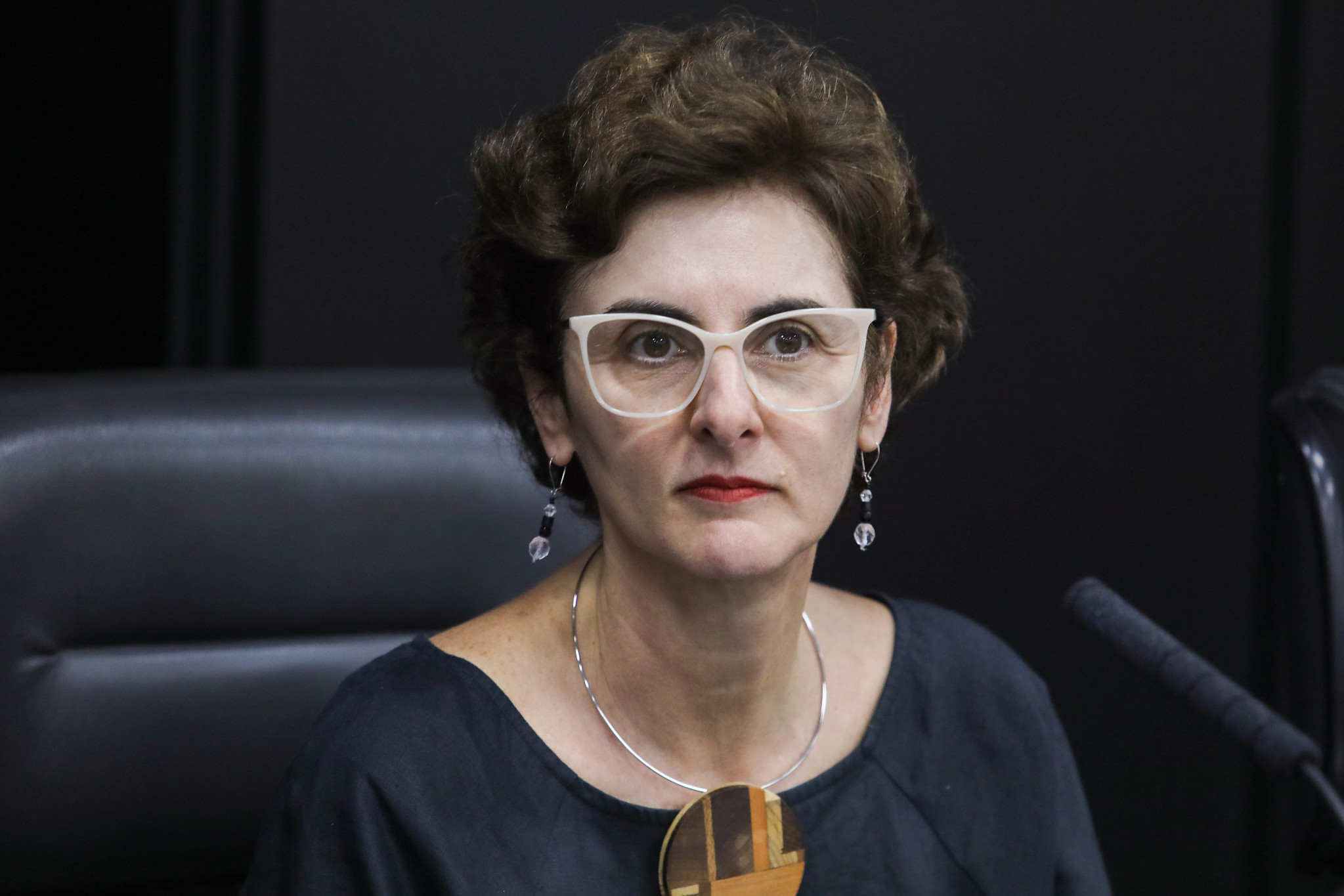 Lilian explanou critérios e apresentou dados <a style='float:right;color:#ccc' href='https://www3.al.sp.gov.br/repositorio/noticia/N-03-2024/fg320964.jpg' target=_blank><i class='bi bi-zoom-in'></i> Clique para ver a imagem </a>
