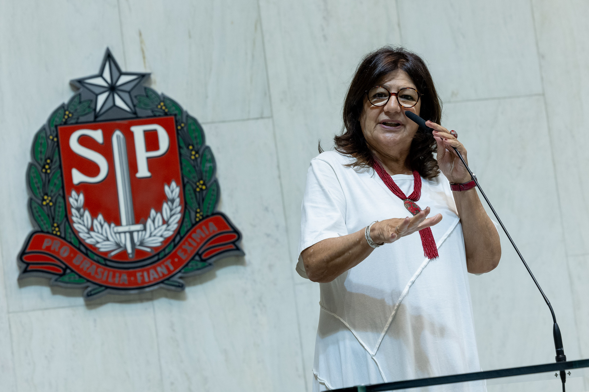 Deputada Beth Sahão<a style='float:right;color:#ccc' href='https://www3.al.sp.gov.br/repositorio/noticia/N-03-2025/fg341582.jpg' target=_blank><i class='bi bi-zoom-in'></i> Clique para ver a imagem </a>