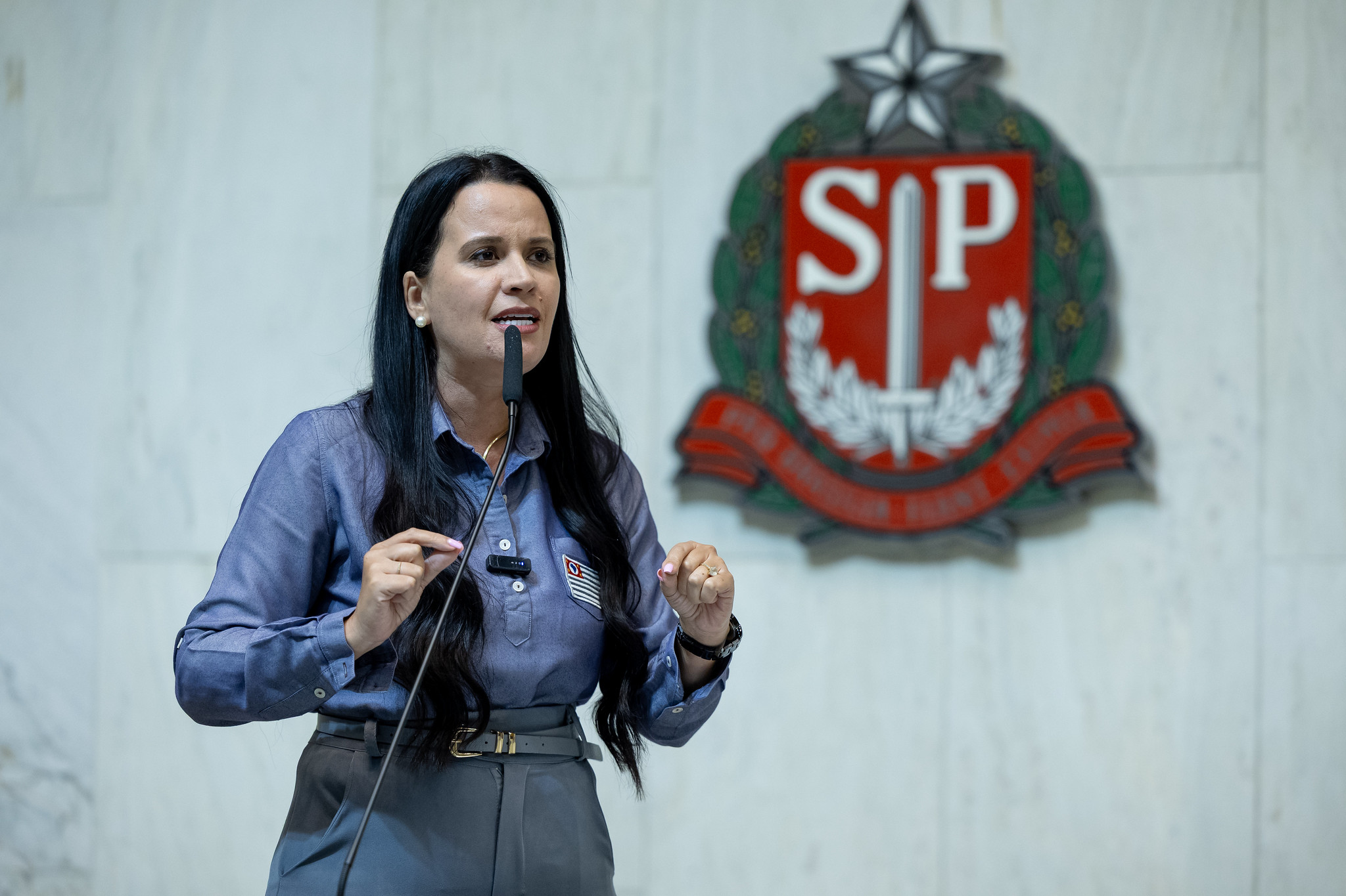 Deputada Letícia Aguiar<a style='float:right;color:#ccc' href='https://www3.al.sp.gov.br/repositorio/noticia/N-03-2025/fg341583.jpg' target=_blank><i class='bi bi-zoom-in'></i> Clique para ver a imagem </a>