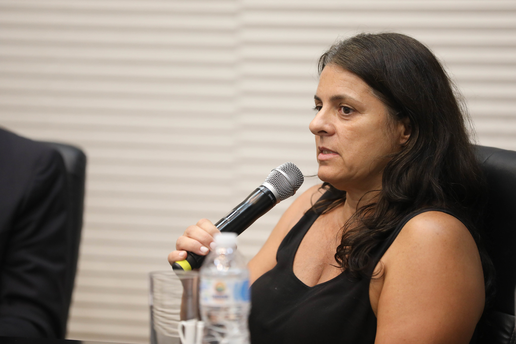 Luciana Frazo, pesquisadora da USP<a style='float:right;color:#ccc' href='https://www3.al.sp.gov.br/repositorio/noticia/N-03-2025/fg342216.jpg' target=_blank><i class='bi bi-zoom-in'></i> Clique para ver a imagem </a>