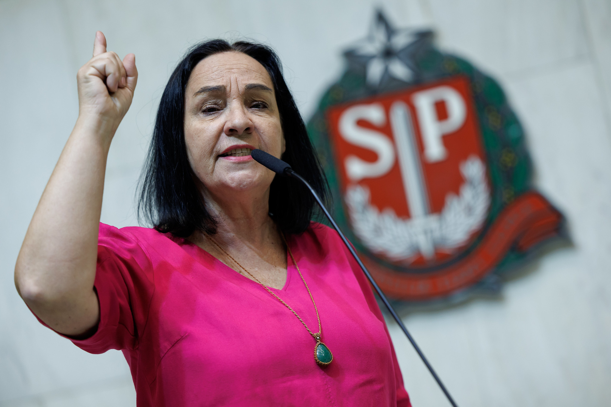 Dep. Márcia Lia (PT)<a style='float:right;color:#ccc' href='https://www3.al.sp.gov.br/repositorio/noticia/N-03-2025/fg342303.jpg' target=_blank><i class='bi bi-zoom-in'></i> Clique para ver a imagem </a>