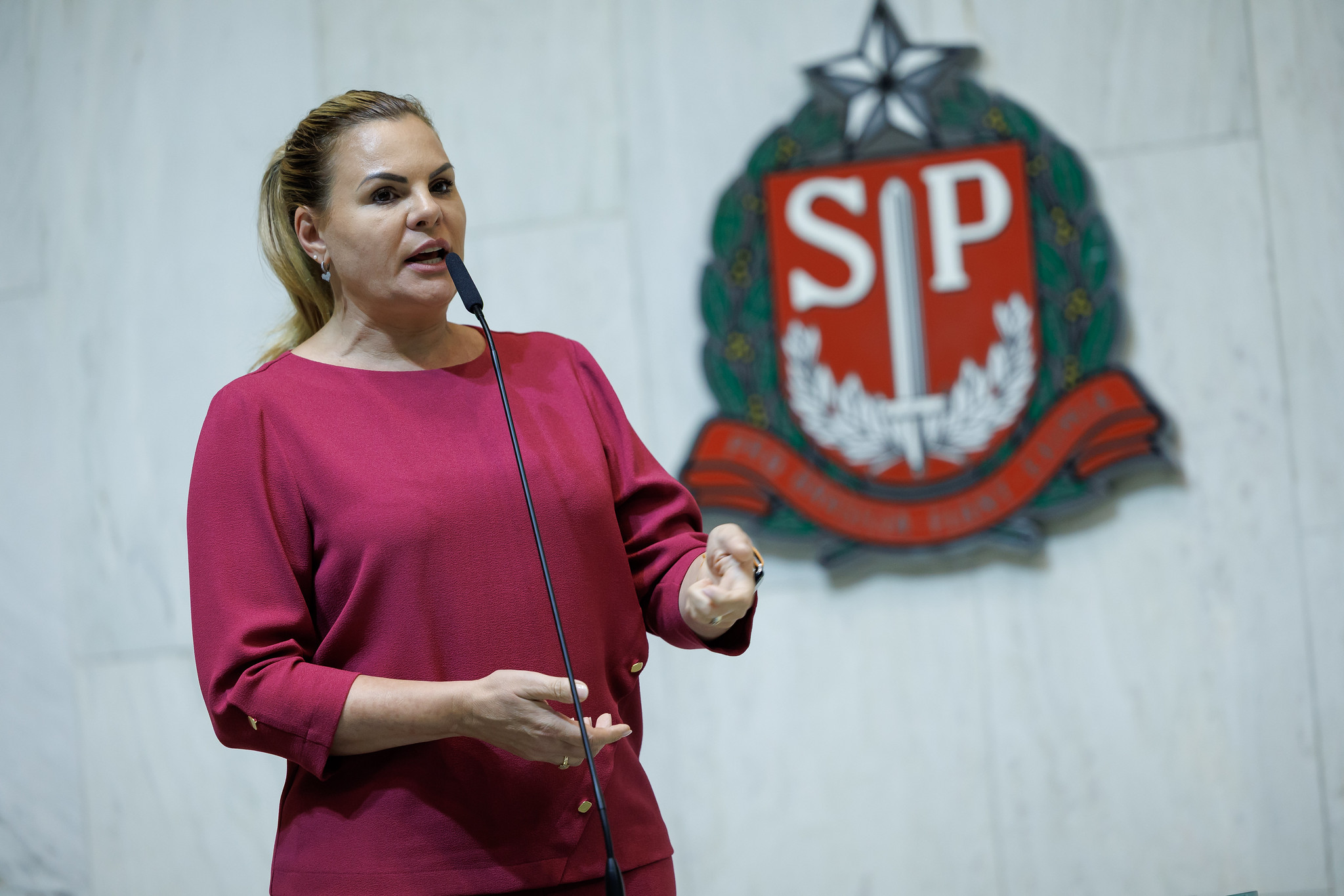Dep. Carla Morando (PSDB)<a style='float:right;color:#ccc' href='https://www3.al.sp.gov.br/repositorio/noticia/N-03-2025/fg342304.jpg' target=_blank><i class='bi bi-zoom-in'></i> Clique para ver a imagem </a>