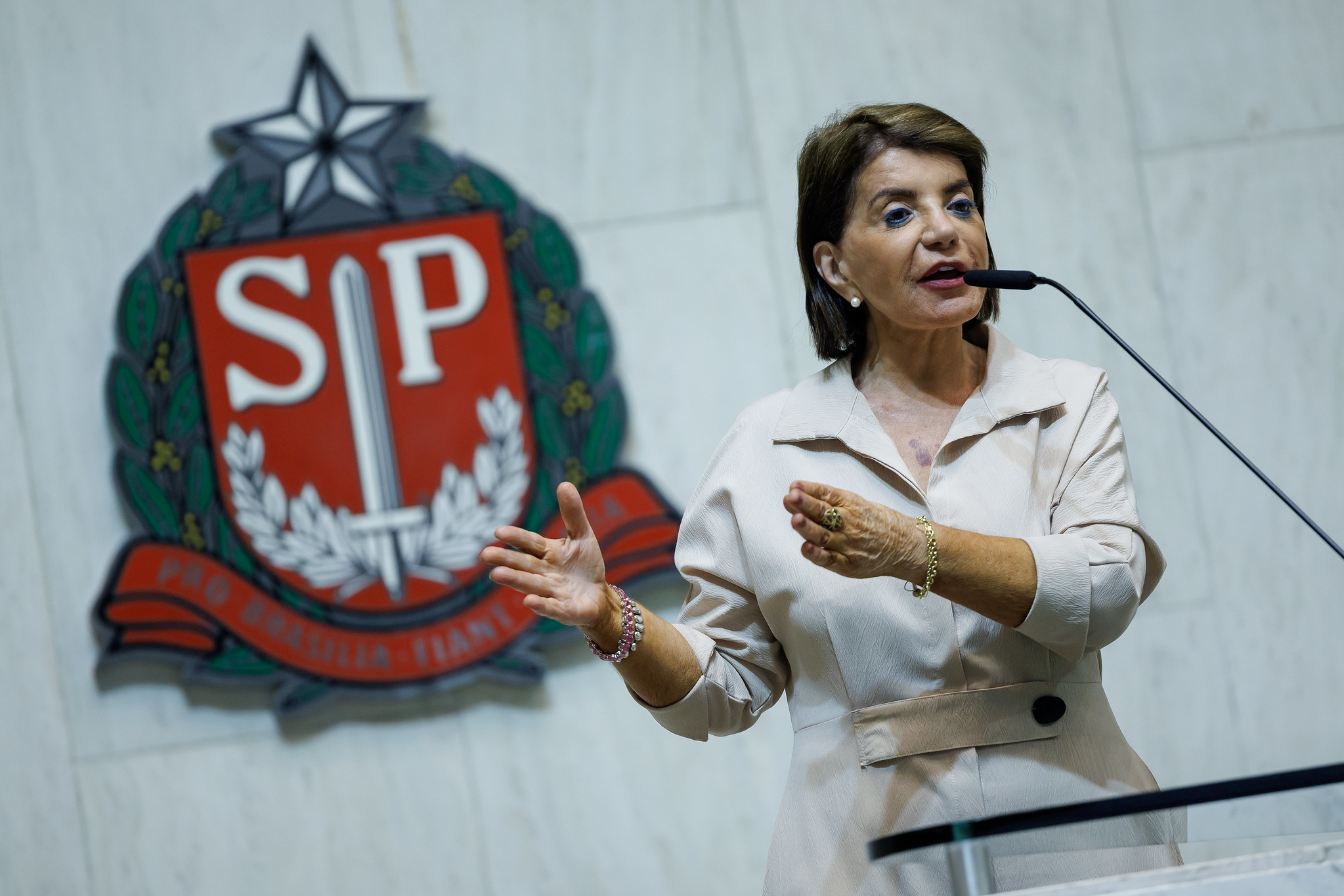 Dep. Professora Bebel (PT)<a style='float:right;color:#ccc' href='https://www3.al.sp.gov.br/repositorio/noticia/N-03-2025/fg342306.jpg' target=_blank><i class='bi bi-zoom-in'></i> Clique para ver a imagem </a>