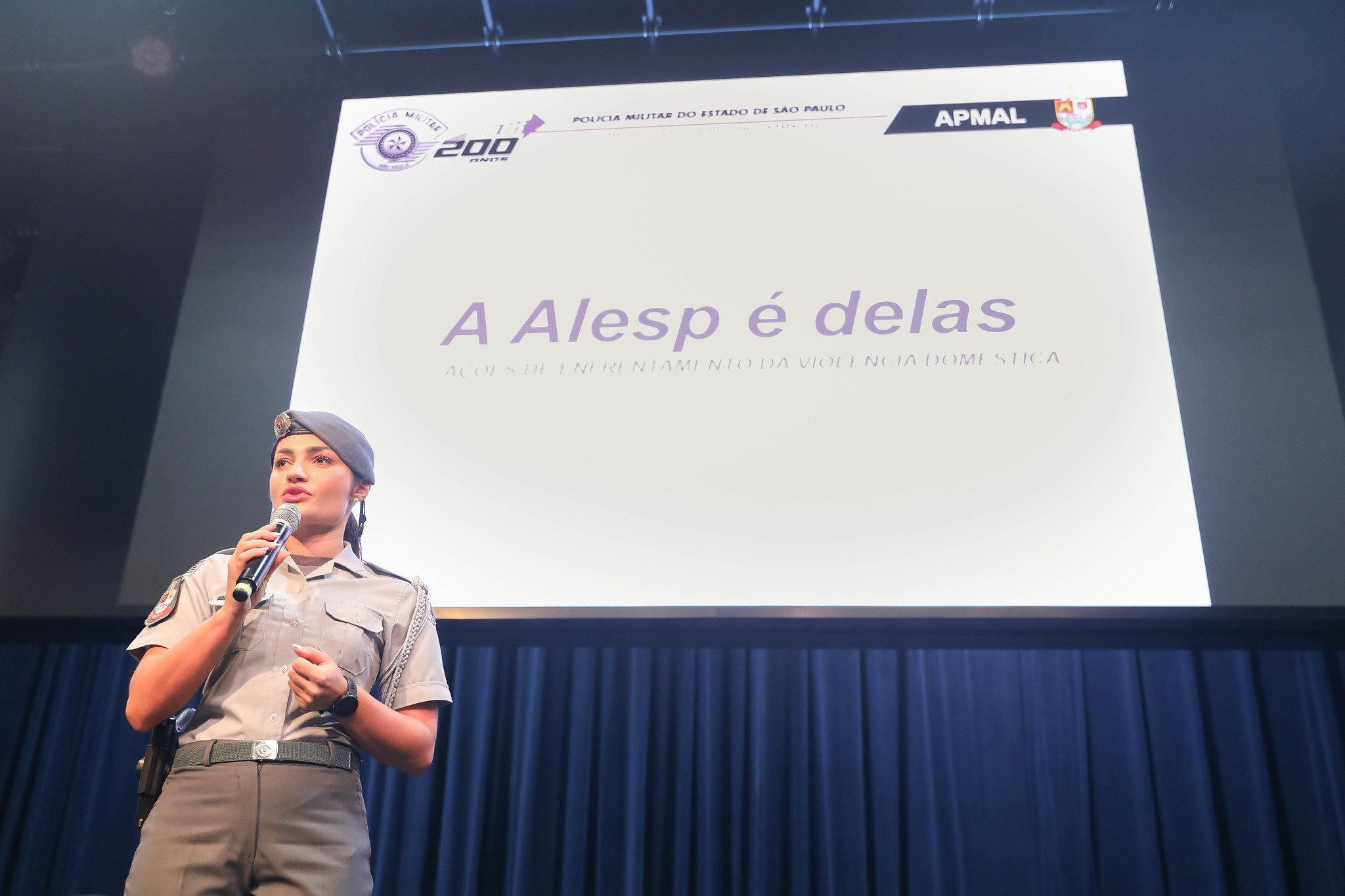 Alesp é Delas: informação<a style='float:right;color:#ccc' href='https://www3.al.sp.gov.br/repositorio/noticia/N-03-2025/fg342362.jpg' target=_blank><i class='bi bi-zoom-in'></i> Clique para ver a imagem </a>