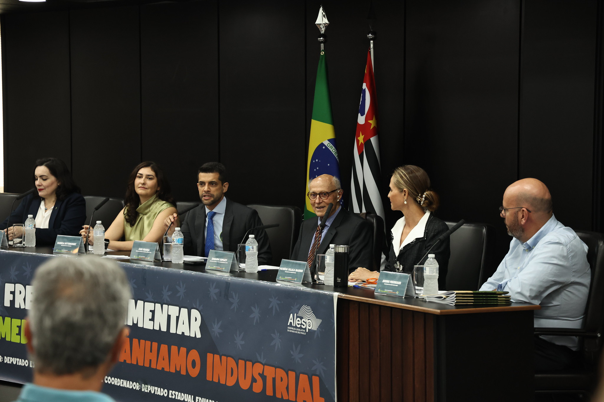 Prazo do STJ para regulamentao vai at maio<a style='float:right;color:#ccc' href='https://www3.al.sp.gov.br/repositorio/noticia/N-03-2025/fg342445.jpg' target=_blank><i class='bi bi-zoom-in'></i> Clique para ver a imagem </a>