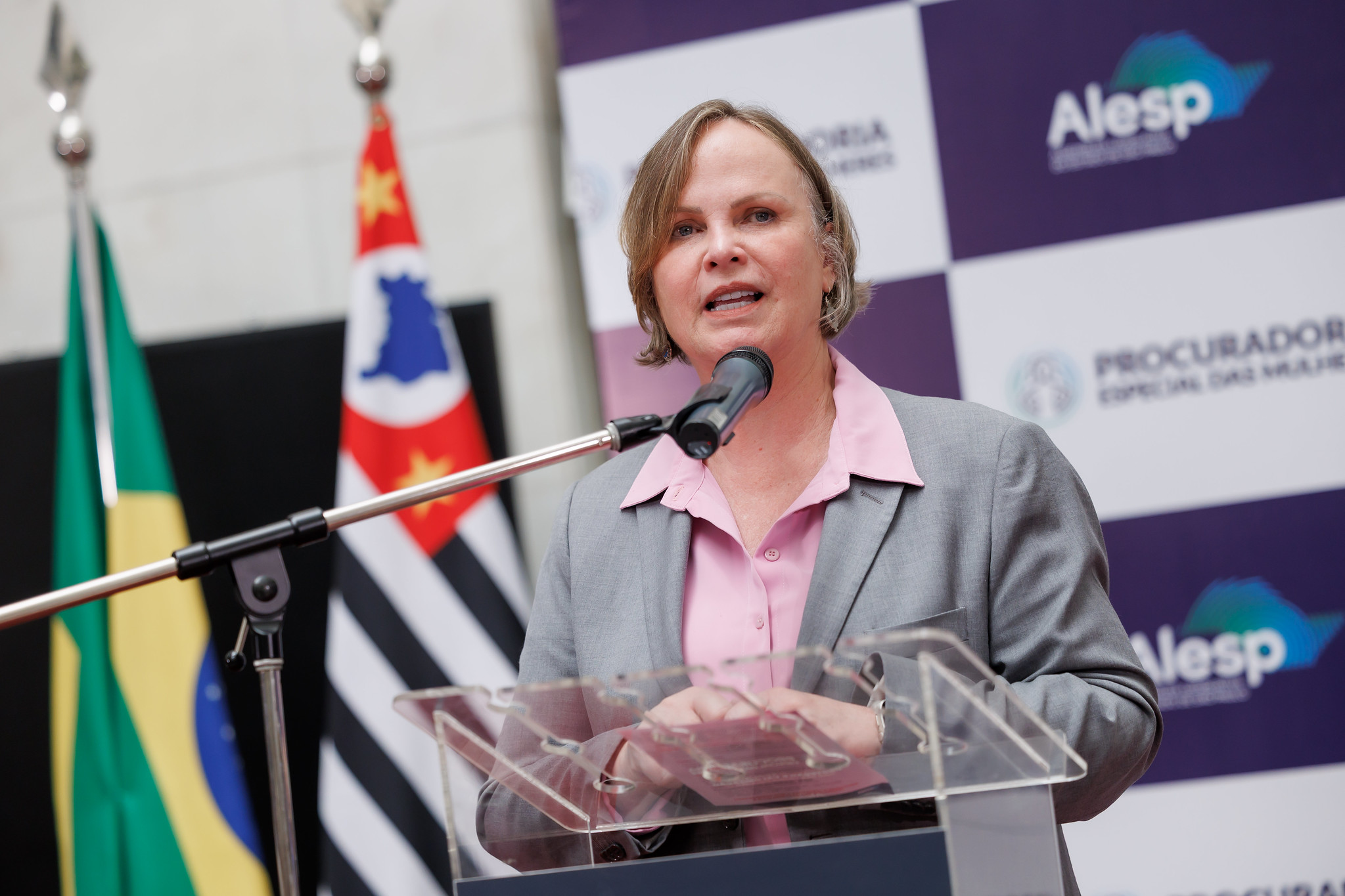 Ana Perugini � a Procuradora Especial da Mulher<a style='float:right;color:#ccc' href='https://www3.al.sp.gov.br/repositorio/noticia/N-03-2026/fg361523.jpg' target=_blank><i class='bi bi-zoom-in'></i> Clique para ver a imagem </a>