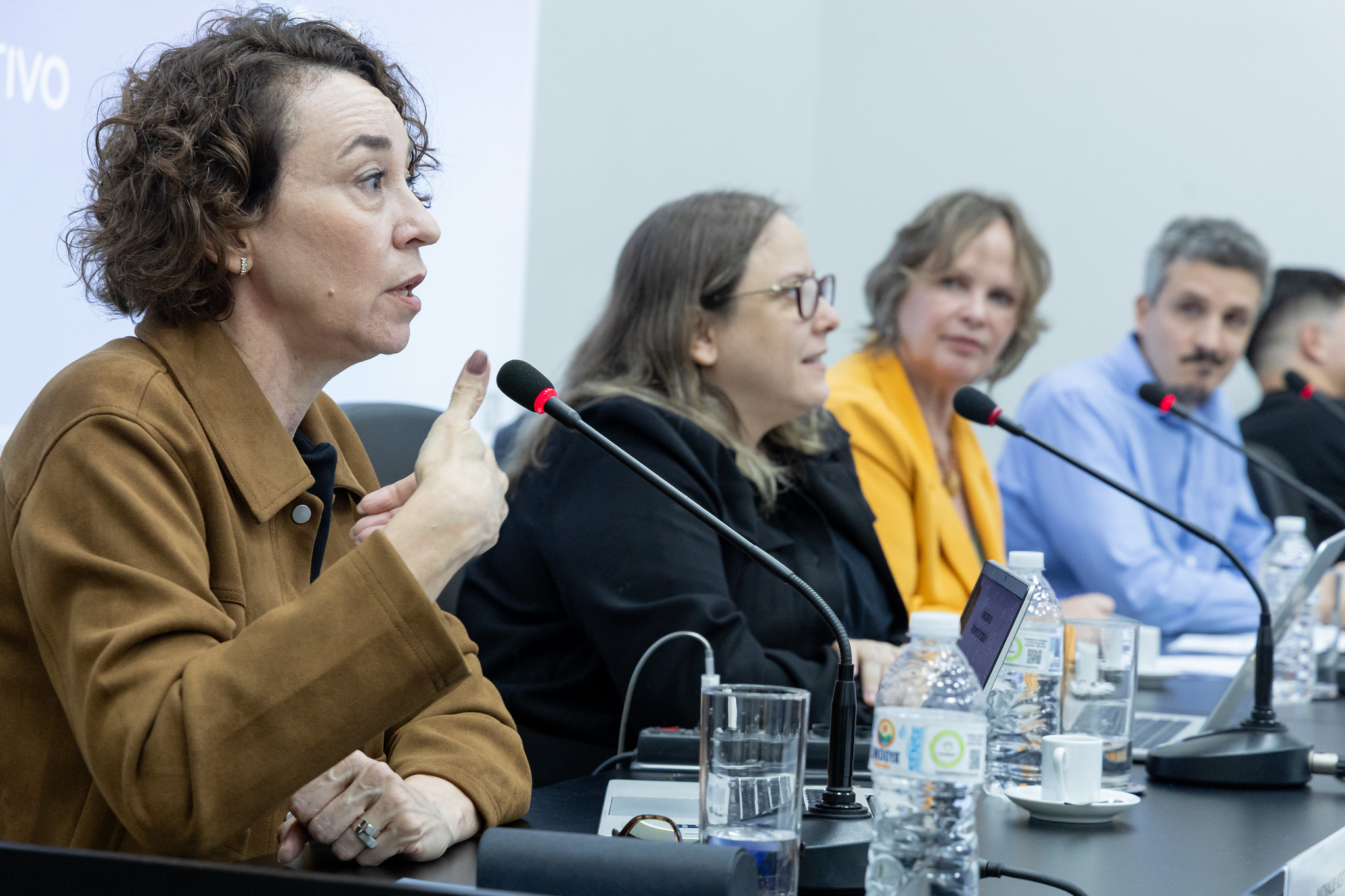 Procuradora de Justi�a Nathalie Kiste Malveiro<a style='float:right' href='https://www3.al.sp.gov.br/repositorio/noticia/N-03-2026/fg361643.jpg' target=_blank><img src='/_img/material-file-download-white.png' width='14px' alt='Clique para baixar a imagem'></a>