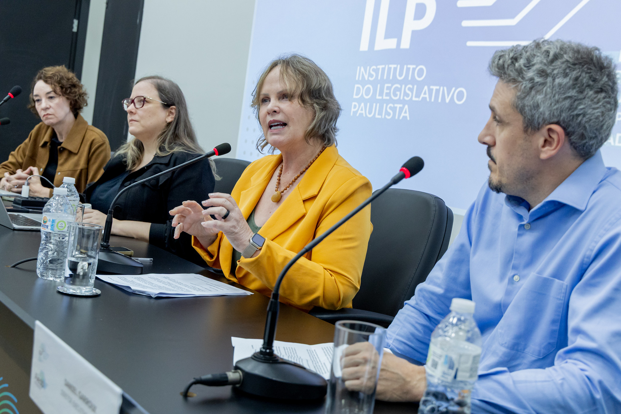 Perugini: tema foi sugerido pelas mulheres<a style='float:right' href='https://www3.al.sp.gov.br/repositorio/noticia/N-03-2026/fg361663.jpg' target=_blank><img src='/_img/material-file-download-white.png' width='14px' alt='Clique para baixar a imagem'></a>