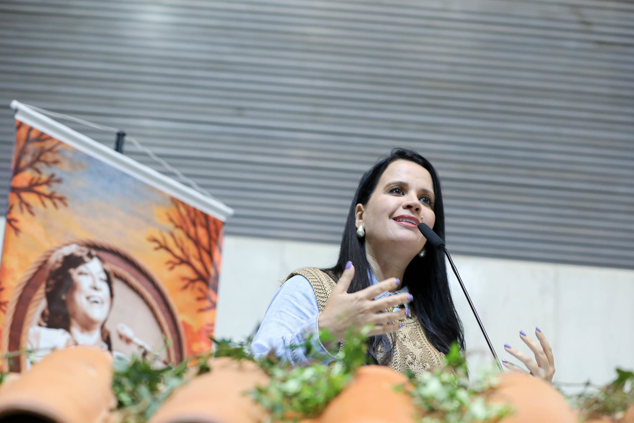 Leticia: viola � a voz do campo<a style='float:right;color:#ccc' href='https://www3.al.sp.gov.br/repositorio/noticia/N-03-2026/fg361748.jpg' target=_blank><i class='bi bi-zoom-in'></i> Clique para ver a imagem </a>