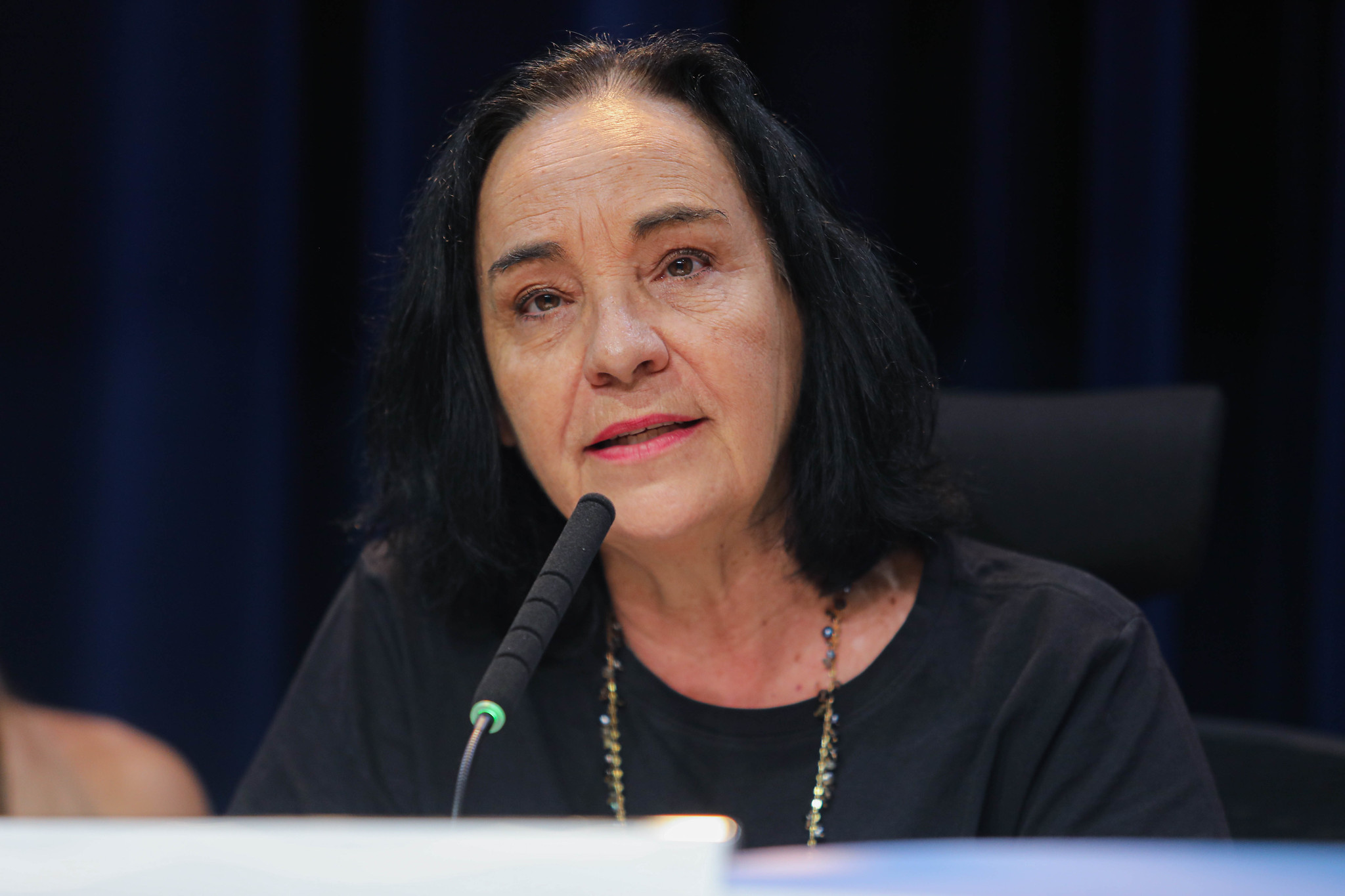 Deputada M�rcia Lia<a style='float:right;color:#ccc' href='https://www3.al.sp.gov.br/repositorio/noticia/N-03-2026/fg361901.jpg' target=_blank><i class='bi bi-zoom-in'></i> Clique para ver a imagem </a>