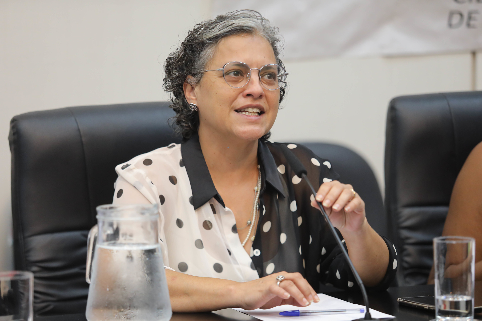 Mariana: transformar pesquisa em benef�cios<a style='float:right;color:#ccc' href='https://www3.al.sp.gov.br/repositorio/noticia/N-03-2026/fg362217.jpg' target=_blank><i class='bi bi-zoom-in'></i> Clique para ver a imagem </a>