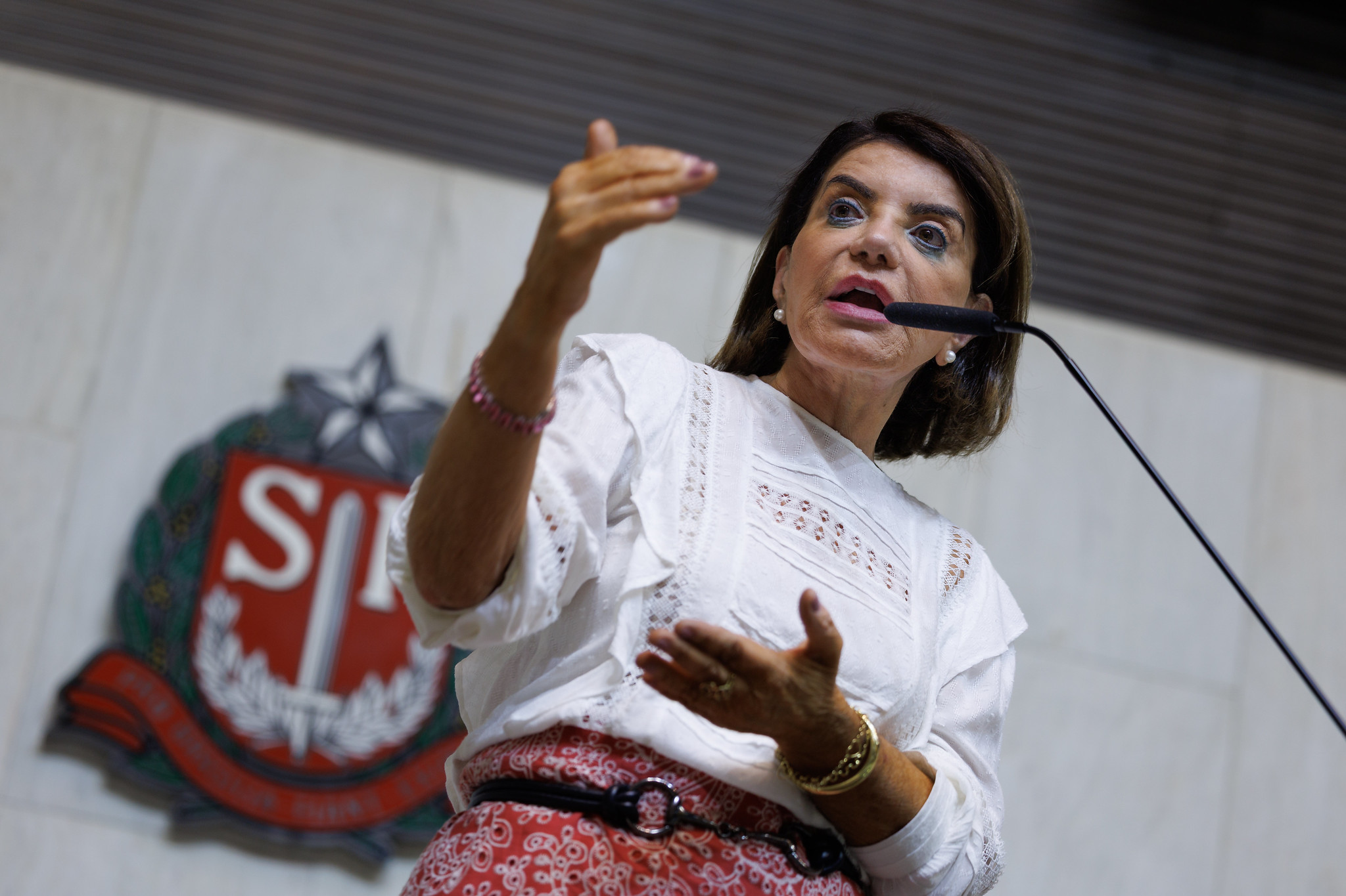 Professora Bebel<a style='float:right' href='https://www3.al.sp.gov.br/repositorio/noticia/N-03-2026/fg362362.jpg' target=_blank><img src='/_img/material-file-download-white.png' width='14px' alt='Clique para baixar a imagem'></a>