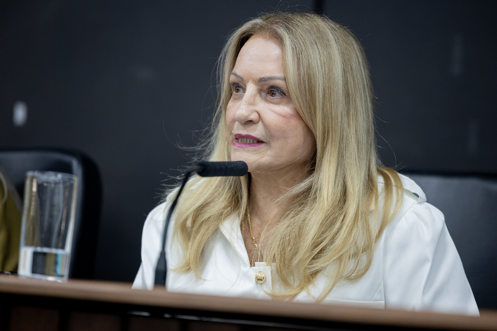 Maria L�cia Amary (PSD)<a style='float:right;color:#ccc' href='https://www3.al.sp.gov.br/repositorio/noticia/N-03-2026/fg362373.jpg' target=_blank><i class='bi bi-zoom-in'></i> Clique para ver a imagem </a>