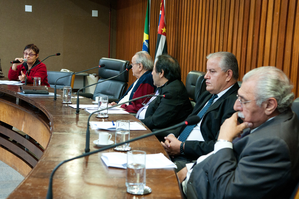 Maria Amlia Teles, ao microfone <a style='float:right;color:#ccc' href='https://www3.al.sp.gov.br/repositorio/noticia/N-04-2013/fg124218.jpg' target=_blank><i class='bi bi-zoom-in'></i> Clique para ver a imagem </a>