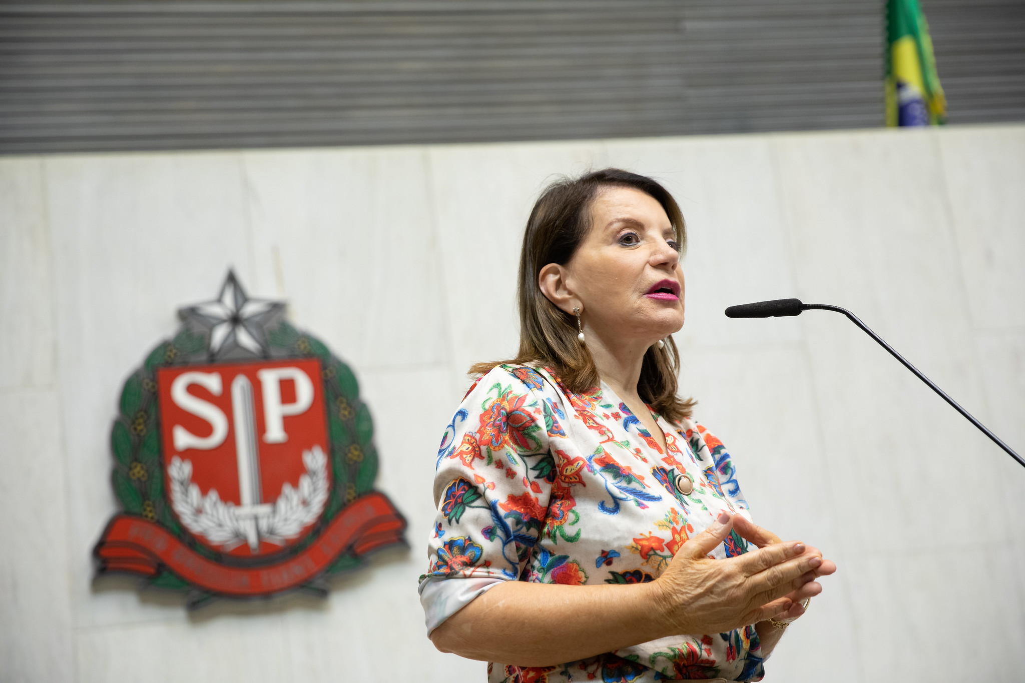 Deputada Professora Bebel no Expediente<a style='float:right;color:#ccc' href='https://www3.al.sp.gov.br/repositorio/noticia/N-04-2023/fg298353.jpg' target=_blank><i class='bi bi-zoom-in'></i> Clique para ver a imagem </a>