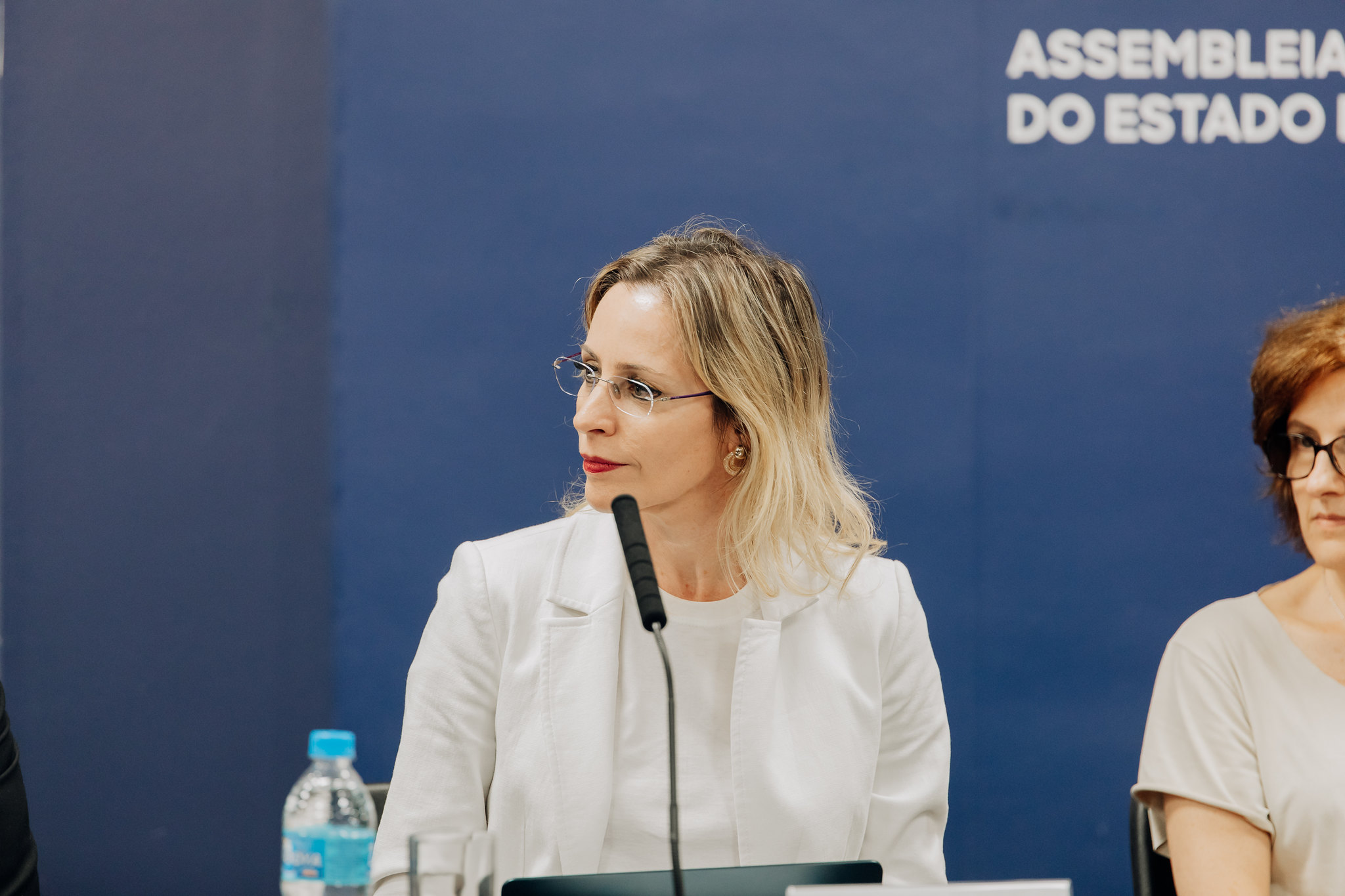 Mariana Battazza presidente da Abraphem<a style='float:right;color:#ccc' href='https://www3.al.sp.gov.br/repositorio/noticia/N-04-2023/fg298862.jpg' target=_blank><i class='bi bi-zoom-in'></i> Clique para ver a imagem </a>
