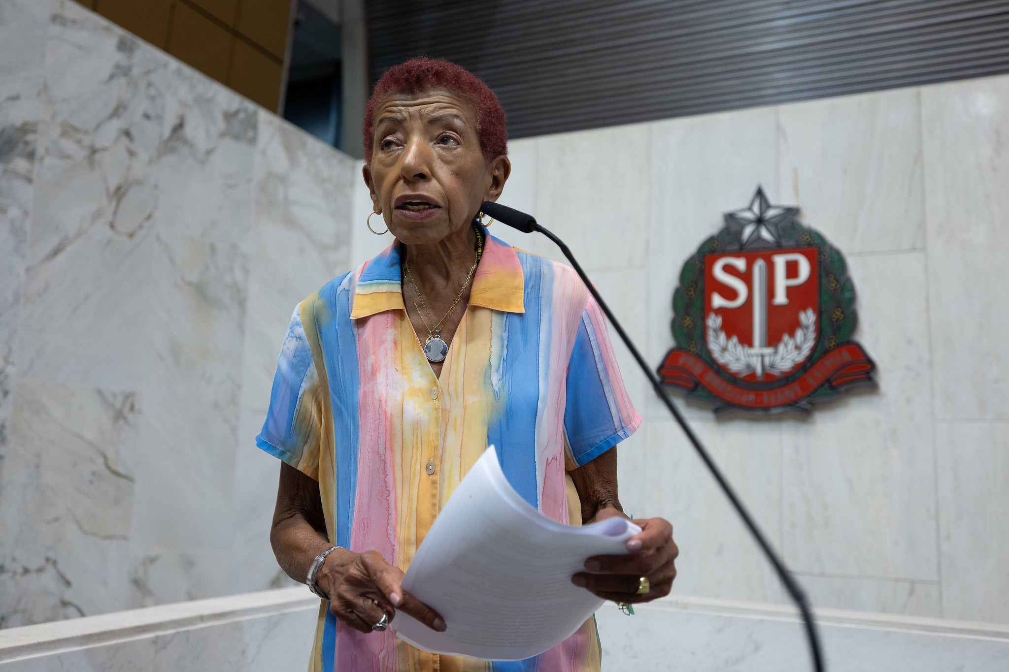 Leci Brando<a style='float:right;color:#ccc' href='https://www3.al.sp.gov.br/repositorio/noticia/N-04-2024/fg323230.jpg' target=_blank><i class='bi bi-zoom-in'></i> Clique para ver a imagem </a>