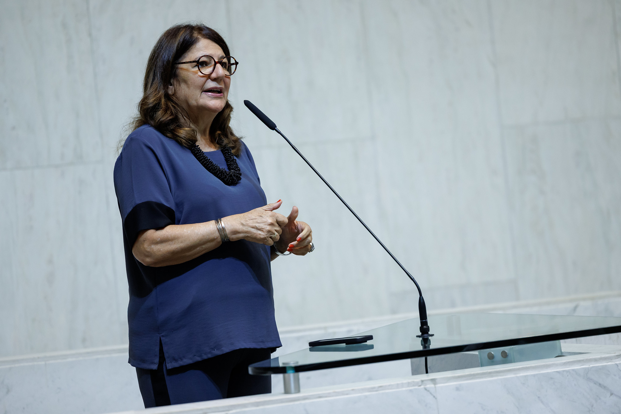 Dep. Beth Saho: ditadura militar<a style='float:right;color:#ccc' href='https://www3.al.sp.gov.br/repositorio/noticia/N-04-2025/fg342563.jpg' target=_blank><i class='bi bi-zoom-in'></i> Clique para ver a imagem </a>