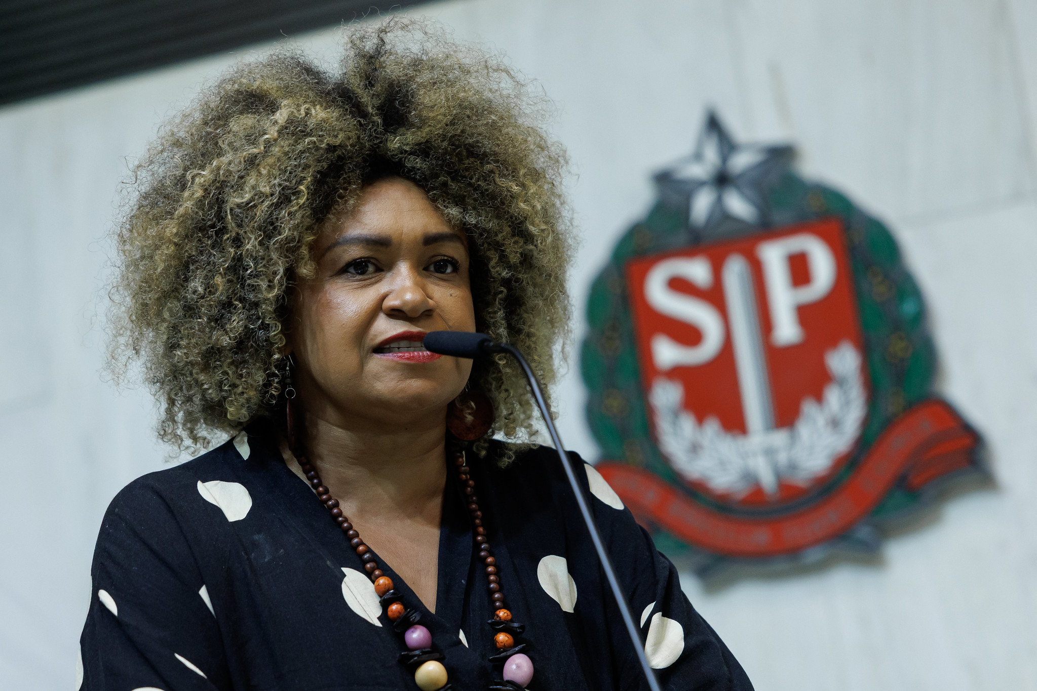 Ediane Maria (Psol)<a style='float:right;color:#ccc' href='https://www3.al.sp.gov.br/repositorio/noticia/N-04-2025/fg343334.jpg' target=_blank><i class='bi bi-zoom-in'></i> Clique para ver a imagem </a>