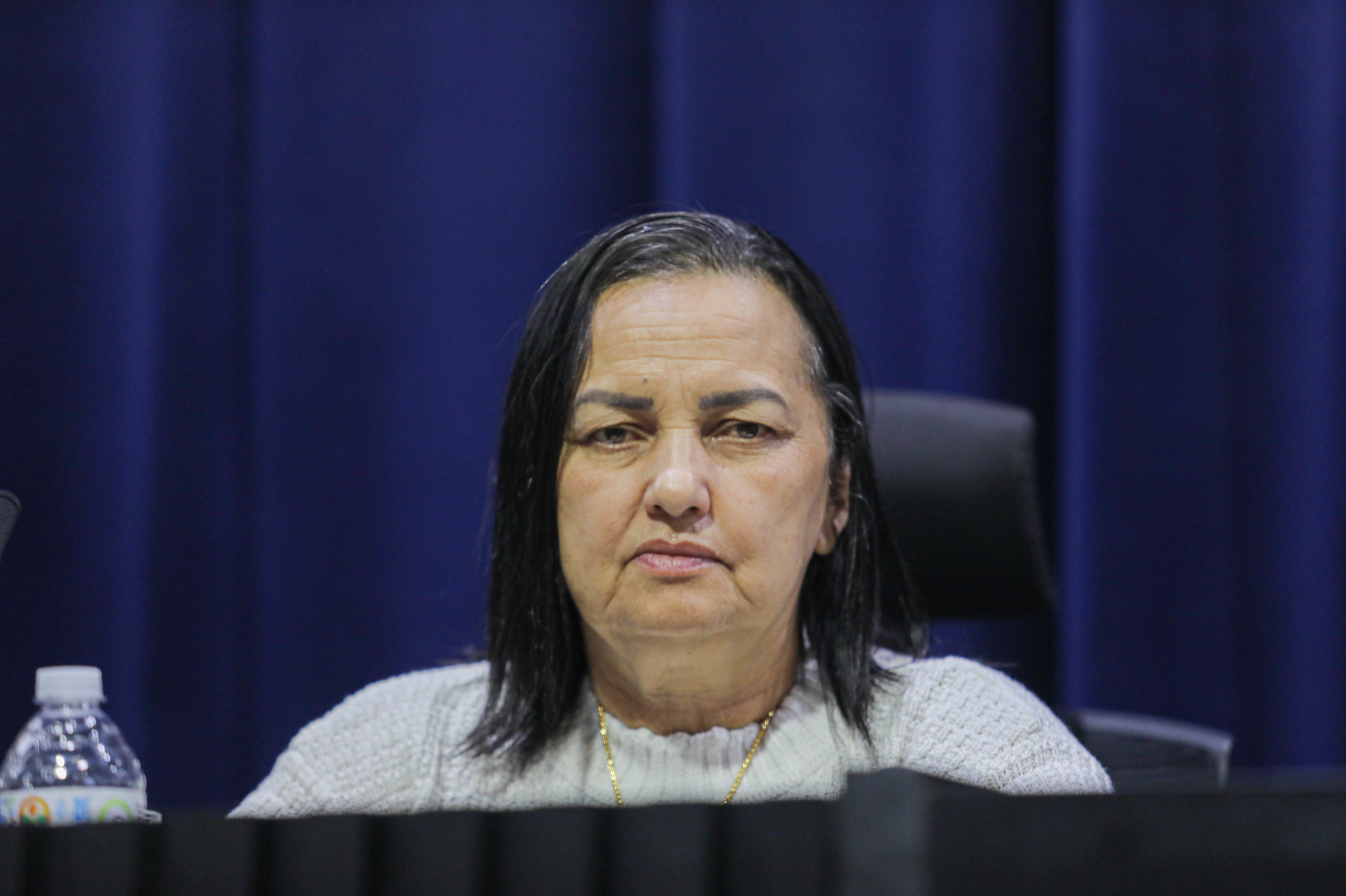 Sandra Aguiar<a style='float:right' href='https://www3.al.sp.gov.br/repositorio/noticia/N-04-2026/fg362725.jpg' target=_blank><img src='/_img/material-file-download-white.png' width='14px' alt='Clique para baixar a imagem'></a>