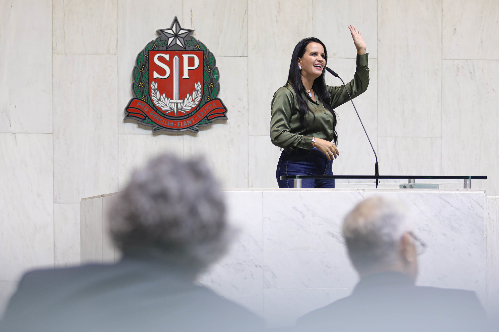 Let�cia Aguiar (PL)<a style='float:right;color:#ccc' href='https://www3.al.sp.gov.br/repositorio/noticia/N-04-2026/fg362913.jpg' target=_blank><i class='bi bi-zoom-in'></i> Clique para ver a imagem </a>