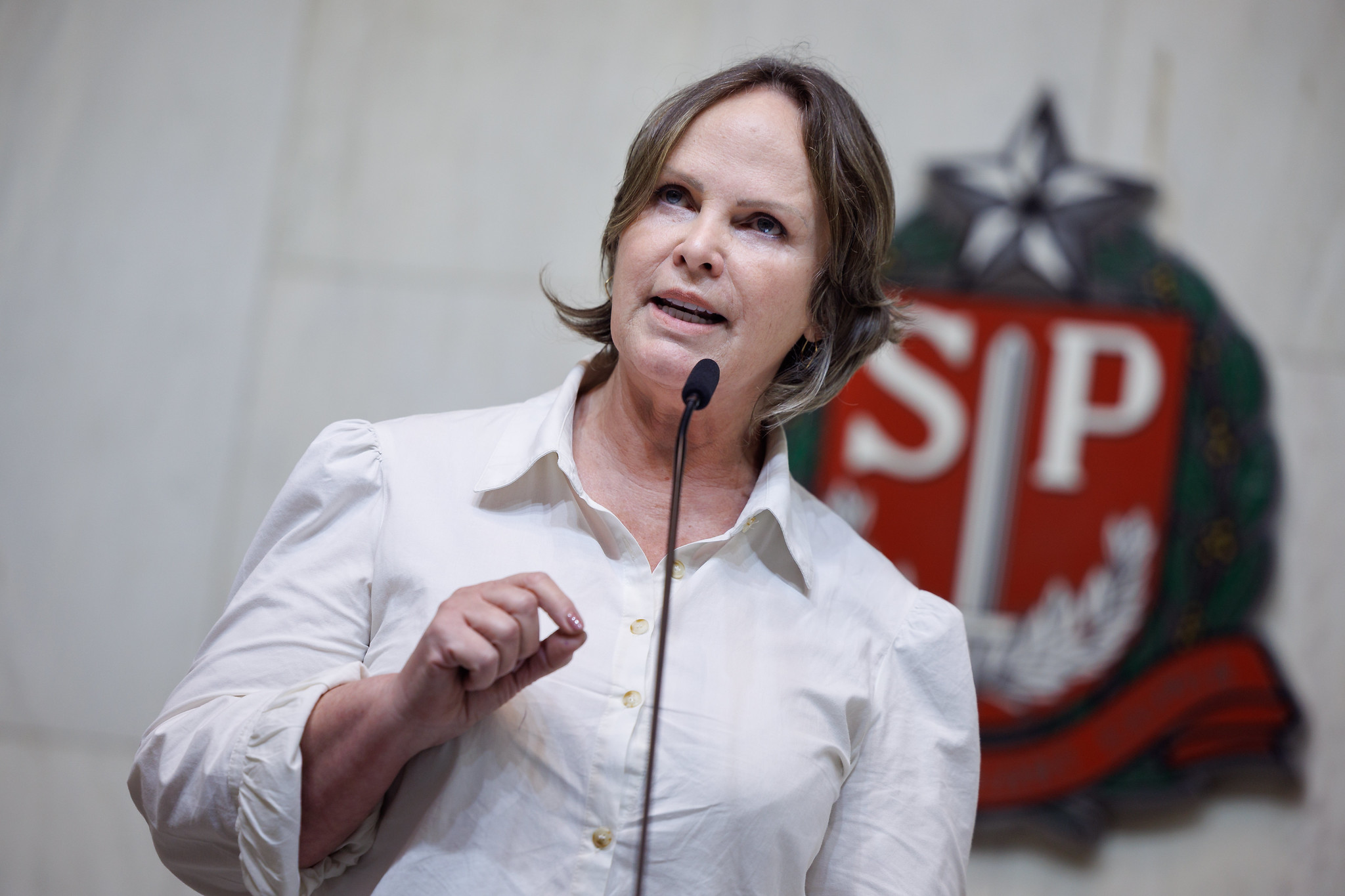 Ana Perugini (PT): viol�ncia contra a mulher<a style='float:right;color:#ccc' href='https://www3.al.sp.gov.br/repositorio/noticia/N-04-2026/fg363255.jpg' target=_blank><i class='bi bi-zoom-in'></i> Clique para ver a imagem </a>