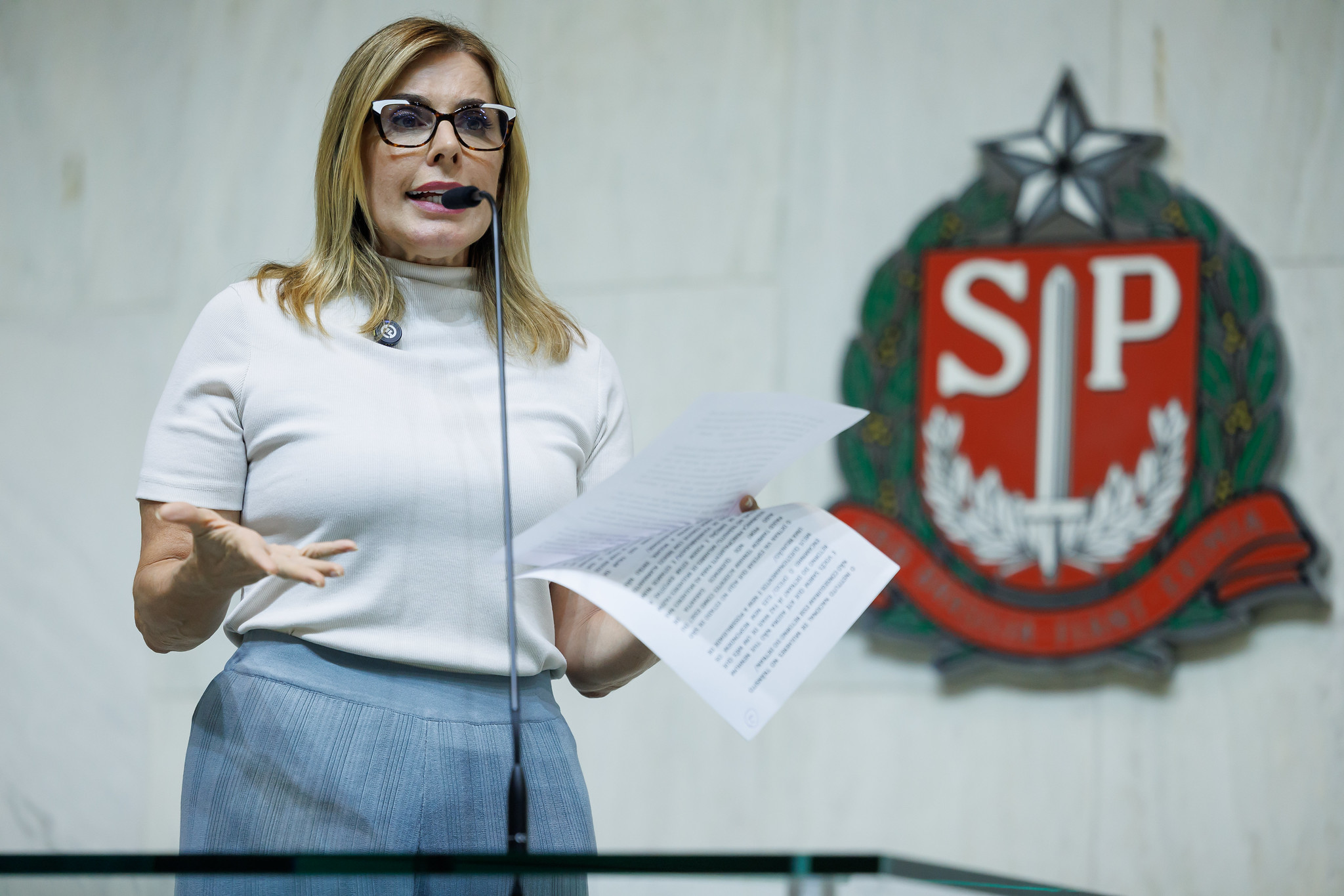 Solange Freitas (Uni�o): Seguran�a no tr�nsito<a style='float:right;color:#ccc' href='https://www3.al.sp.gov.br/repositorio/noticia/N-04-2026/fg363306.jpg' target=_blank><i class='bi bi-zoom-in'></i> Clique para ver a imagem </a>