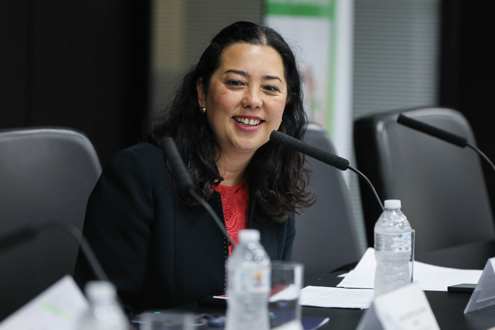 Irene: heran�a escravista gerou desvantagens<a style='float:right' href='https://www3.al.sp.gov.br/repositorio/noticia/N-04-2026/fg363345.jpg' target=_blank><img src='/_img/material-file-download-white.png' width='14px' alt='Clique para baixar a imagem'></a>