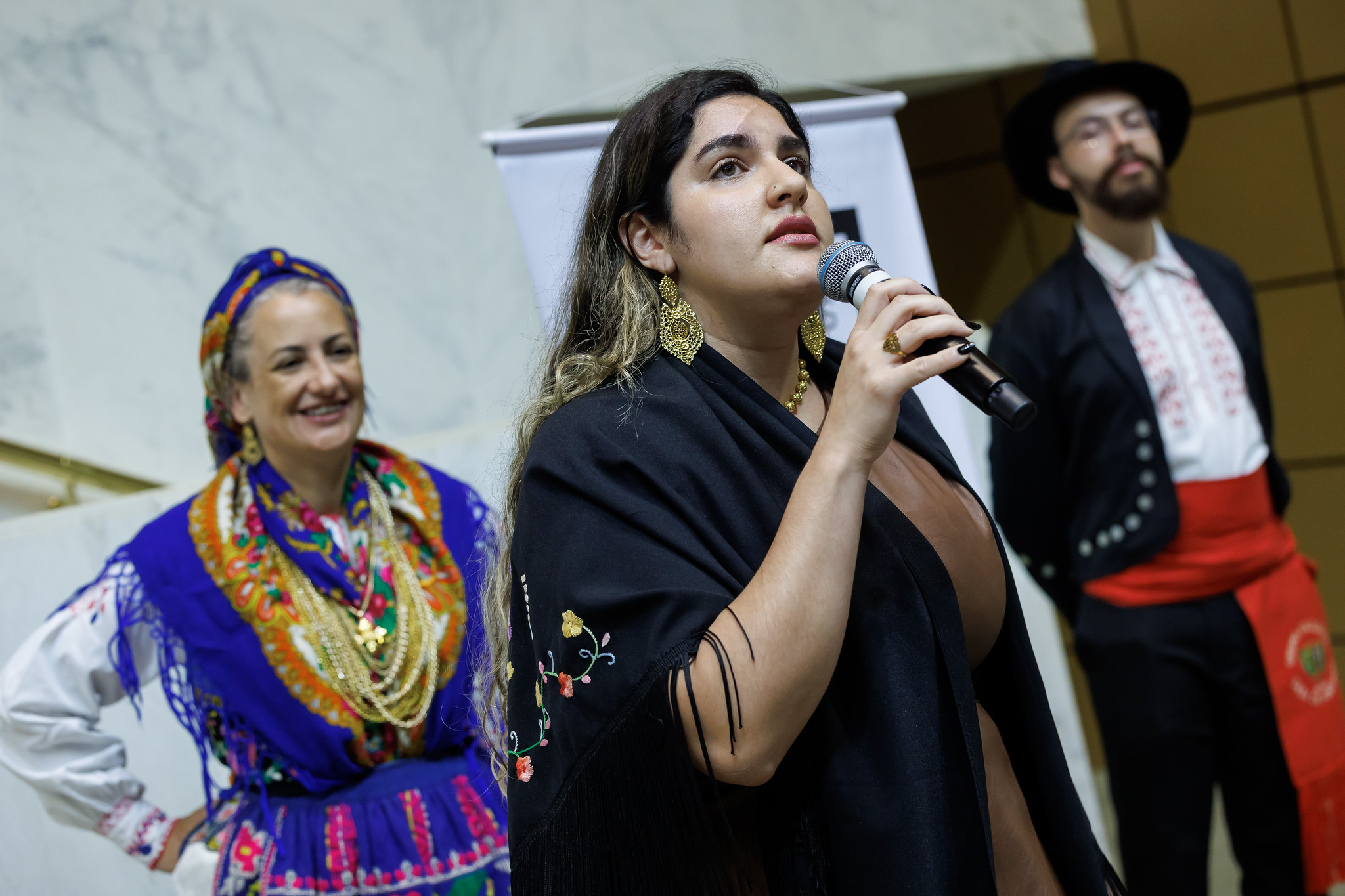 Cantora Heloisa Costa<a style='float:right' href='https://www3.al.sp.gov.br/repositorio/noticia/N-04-2026/fg363550.jpg' target=_blank><img src='/_img/material-file-download-white.png' width='14px' alt='Clique para baixar a imagem'></a>