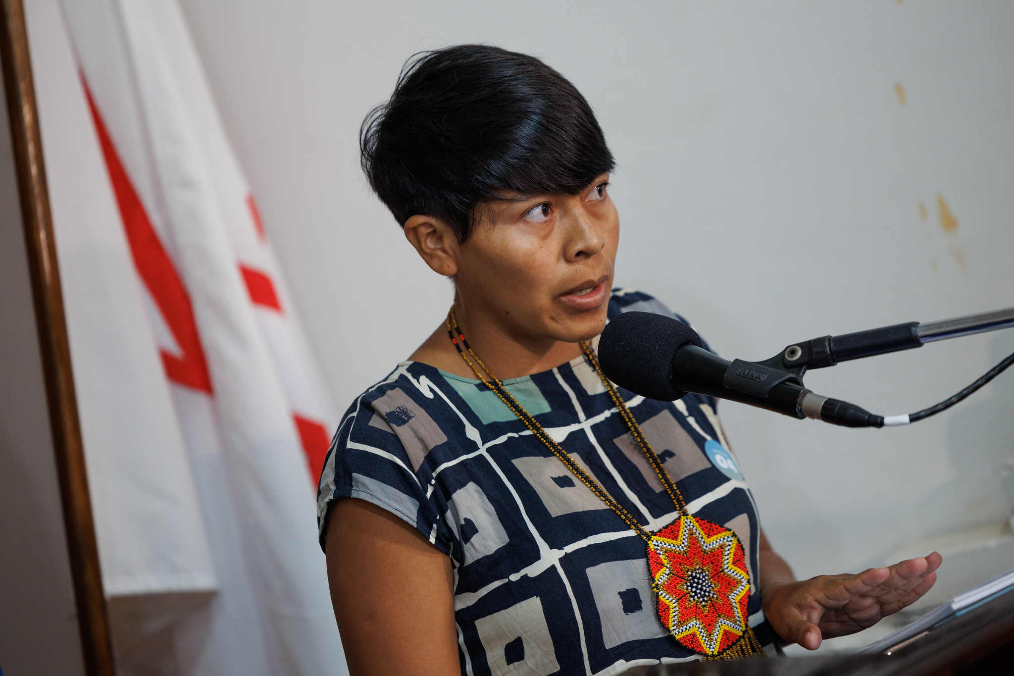 Eliane Kretch�: Apoio a comunidades ind�genas<a style='float:right' href='https://www3.al.sp.gov.br/repositorio/noticia/N-04-2026/fg363593.jpg' target=_blank><img src='/_img/material-file-download-white.png' width='14px' alt='Clique para baixar a imagem'></a>