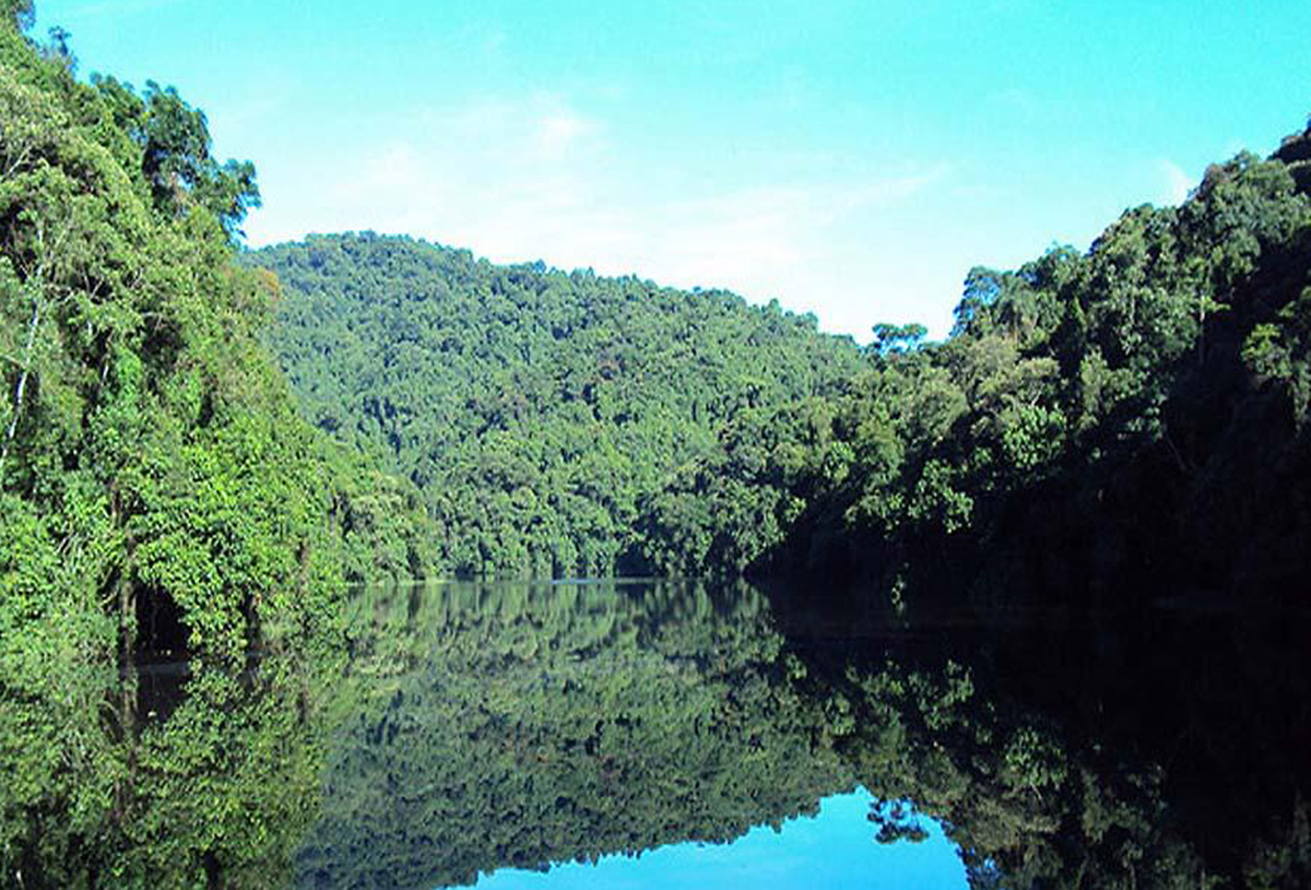 Parque Estadual da Cantareira, uma das maiores florestas urbanas do mundo<a style='float:right;color:#ccc' href='https://www3.al.sp.gov.br/repositorio/noticia/N-05-2013/fg124932.jpg' target=_blank><i class='bi bi-zoom-in'></i> Clique para ver a imagem </a>