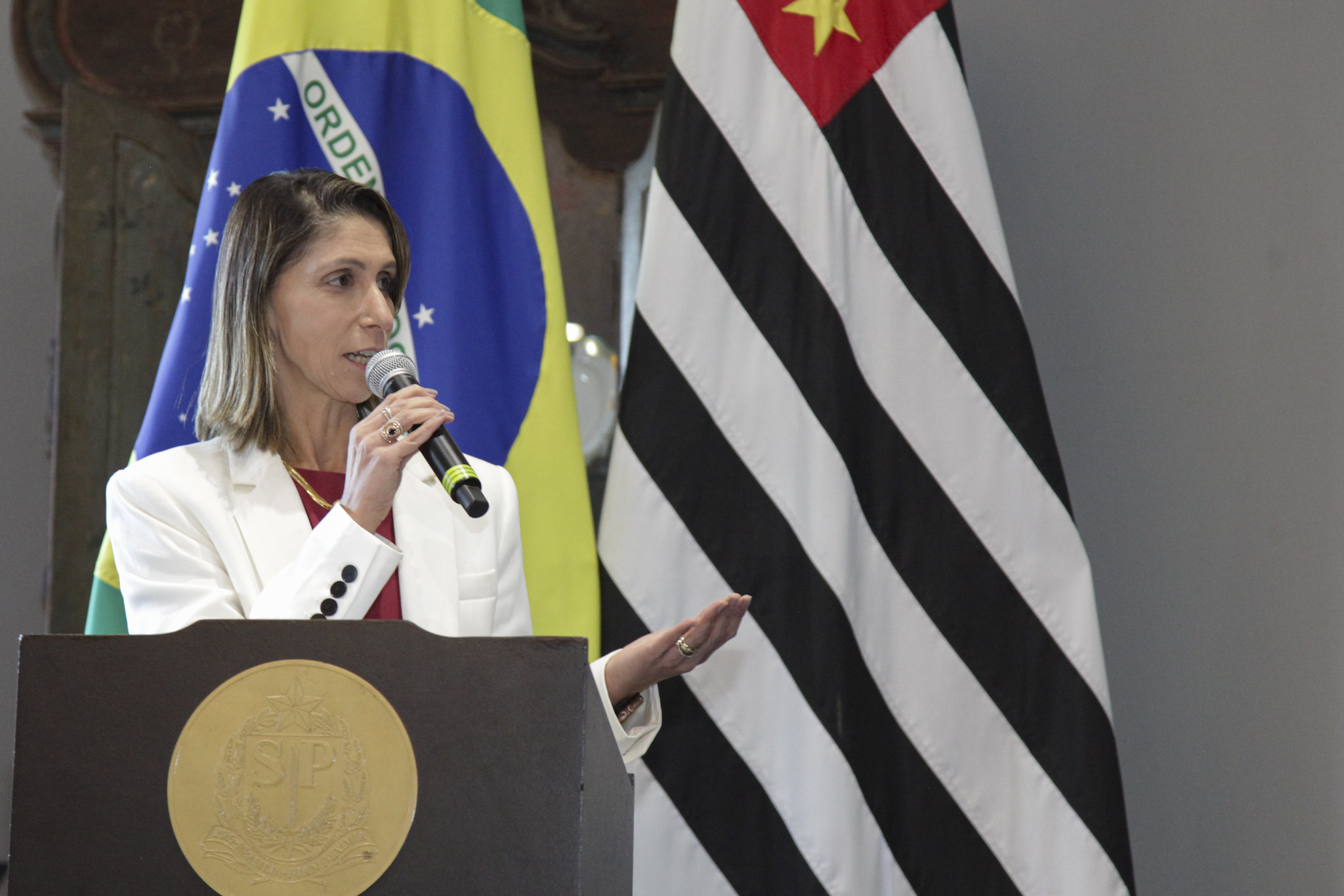 Andrezza Rosalm: superao da pobreza<a style='float:right;color:#ccc' href='https://www3.al.sp.gov.br/repositorio/noticia/N-05-2024/fg323605.jpg' target=_blank><i class='bi bi-zoom-in'></i> Clique para ver a imagem </a>