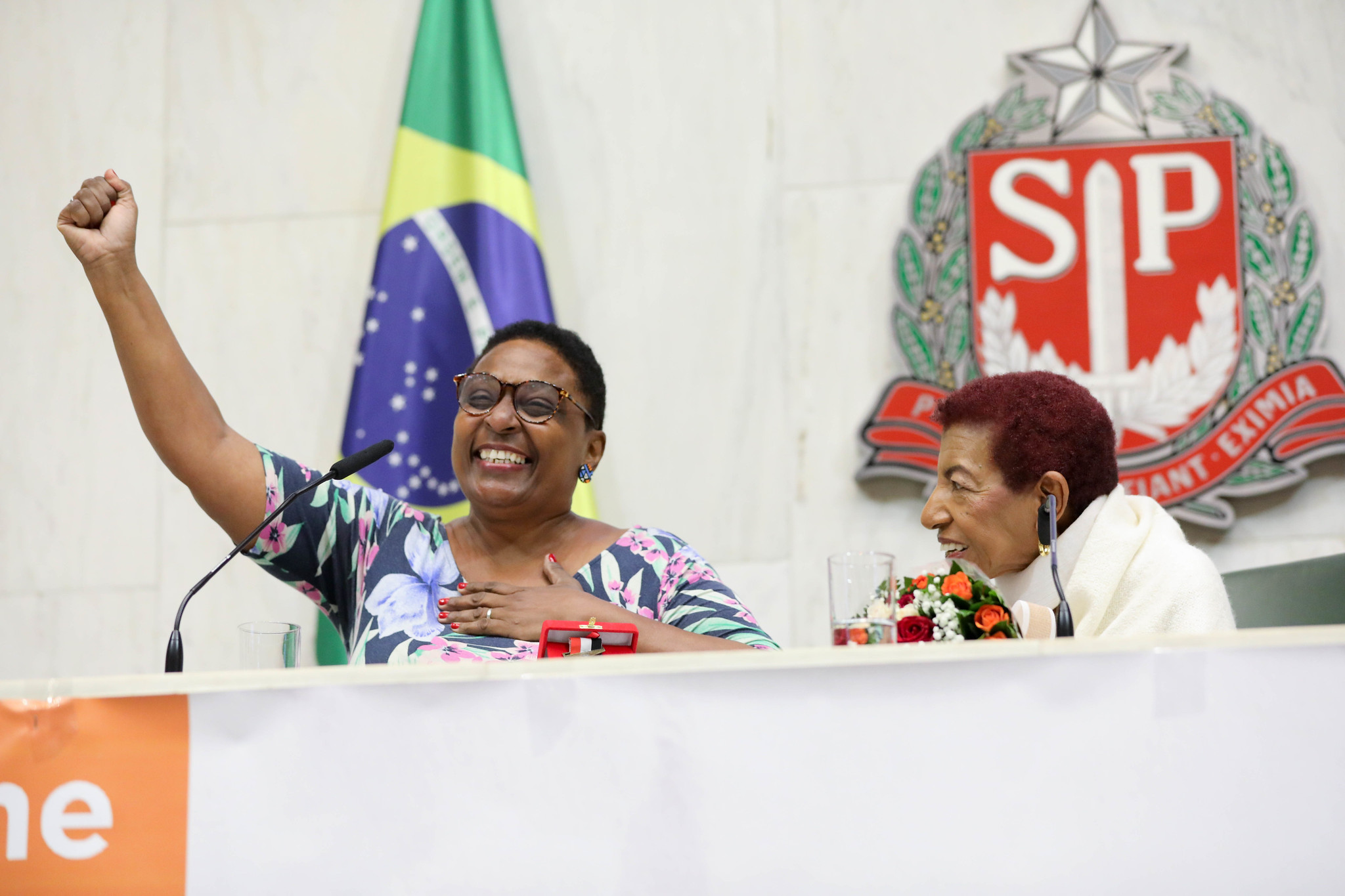 Leci Brandão em entrega da medalha<a style='float:right;color:#ccc' href='https://www3.al.sp.gov.br/repositorio/noticia/N-05-2024/fg324979.jpg' target=_blank><i class='bi bi-zoom-in'></i> Clique para ver a imagem </a>