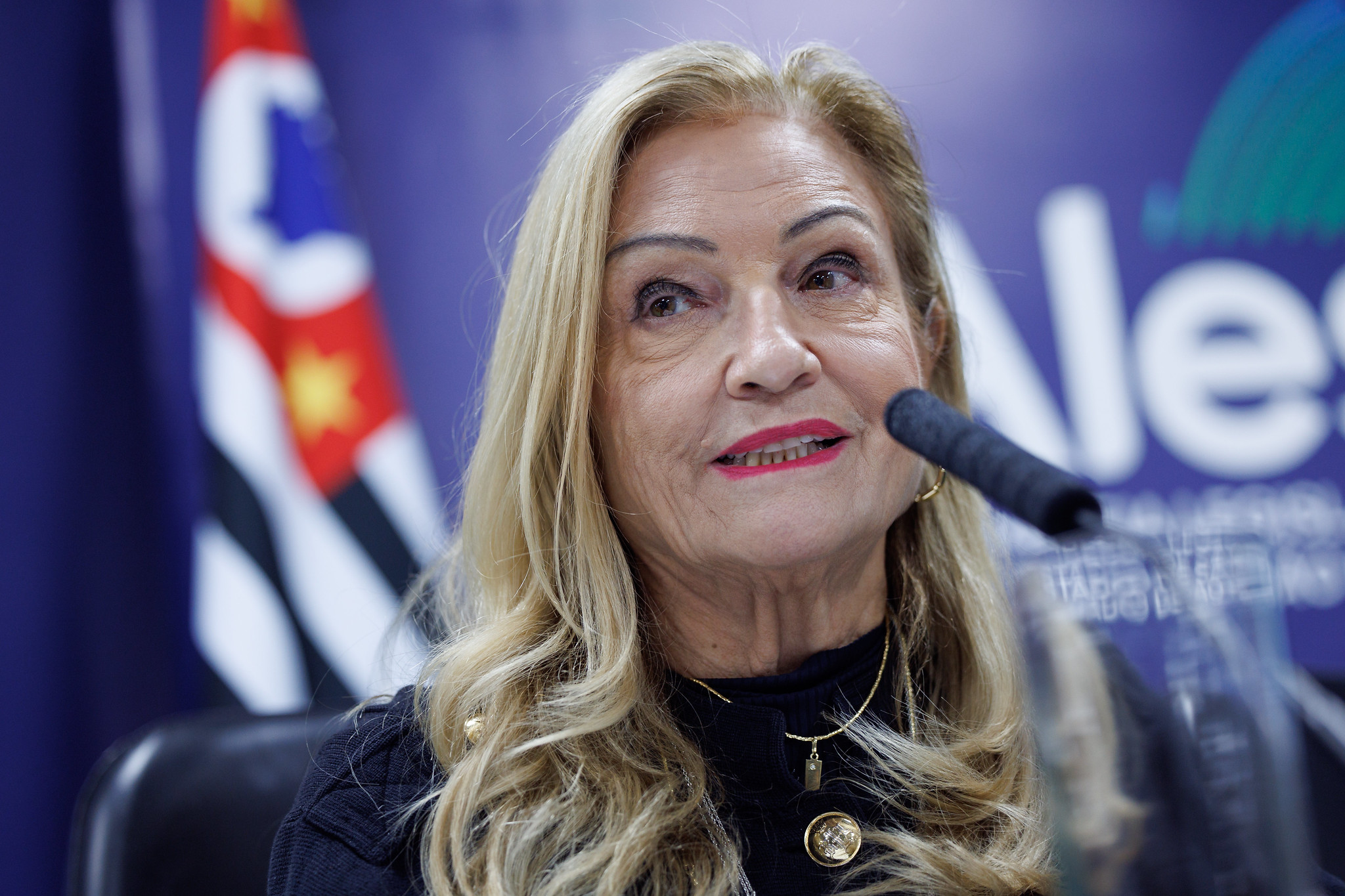 Deputada Maria Lúcia Amary<a style='float:right;color:#ccc' href='https://www3.al.sp.gov.br/repositorio/noticia/N-05-2025/fg344871.jpg' target=_blank><i class='bi bi-zoom-in'></i> Clique para ver a imagem </a>