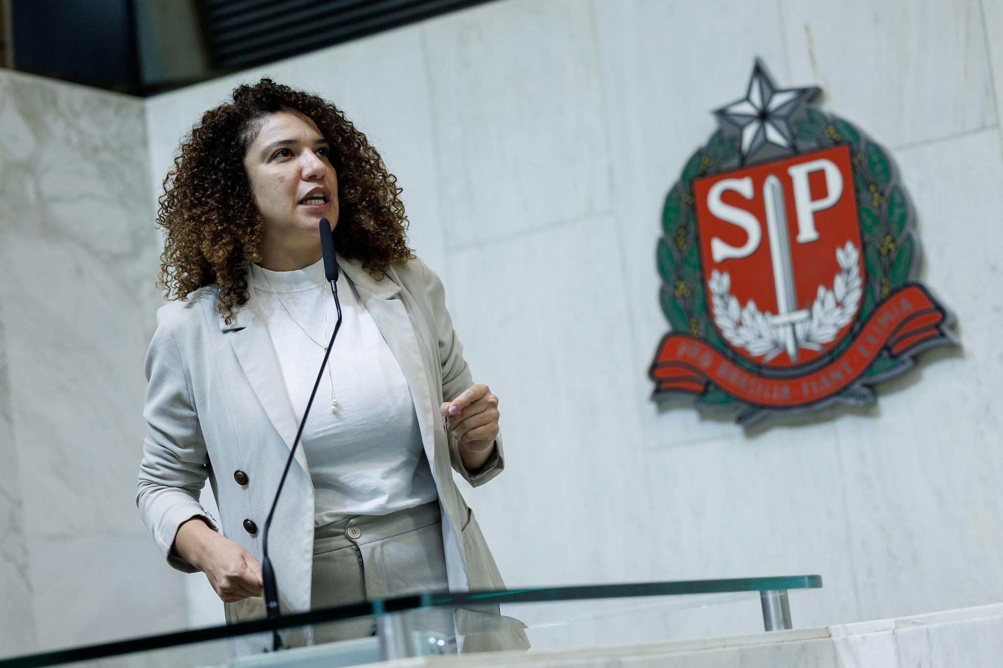 Dep. Mônica Seixas do Movimento Pretas (Psol)<a style='float:right;color:#ccc' href='https://www3.al.sp.gov.br/repositorio/noticia/N-05-2025/fg344892.jpg' target=_blank><i class='bi bi-zoom-in'></i> Clique para ver a imagem </a>