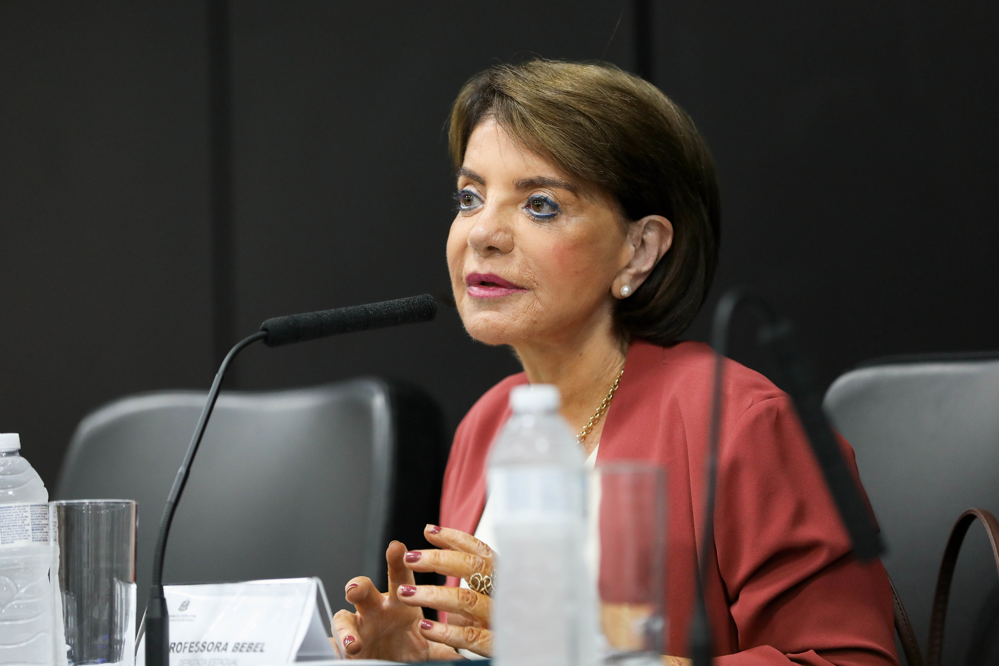 Encontro foi promovido pela dep. Professora Bebel<a style='float:right;color:#ccc' href='https://www3.al.sp.gov.br/repositorio/noticia/N-05-2025/fg345202.jpg' target=_blank><i class='bi bi-zoom-in'></i> Clique para ver a imagem </a>