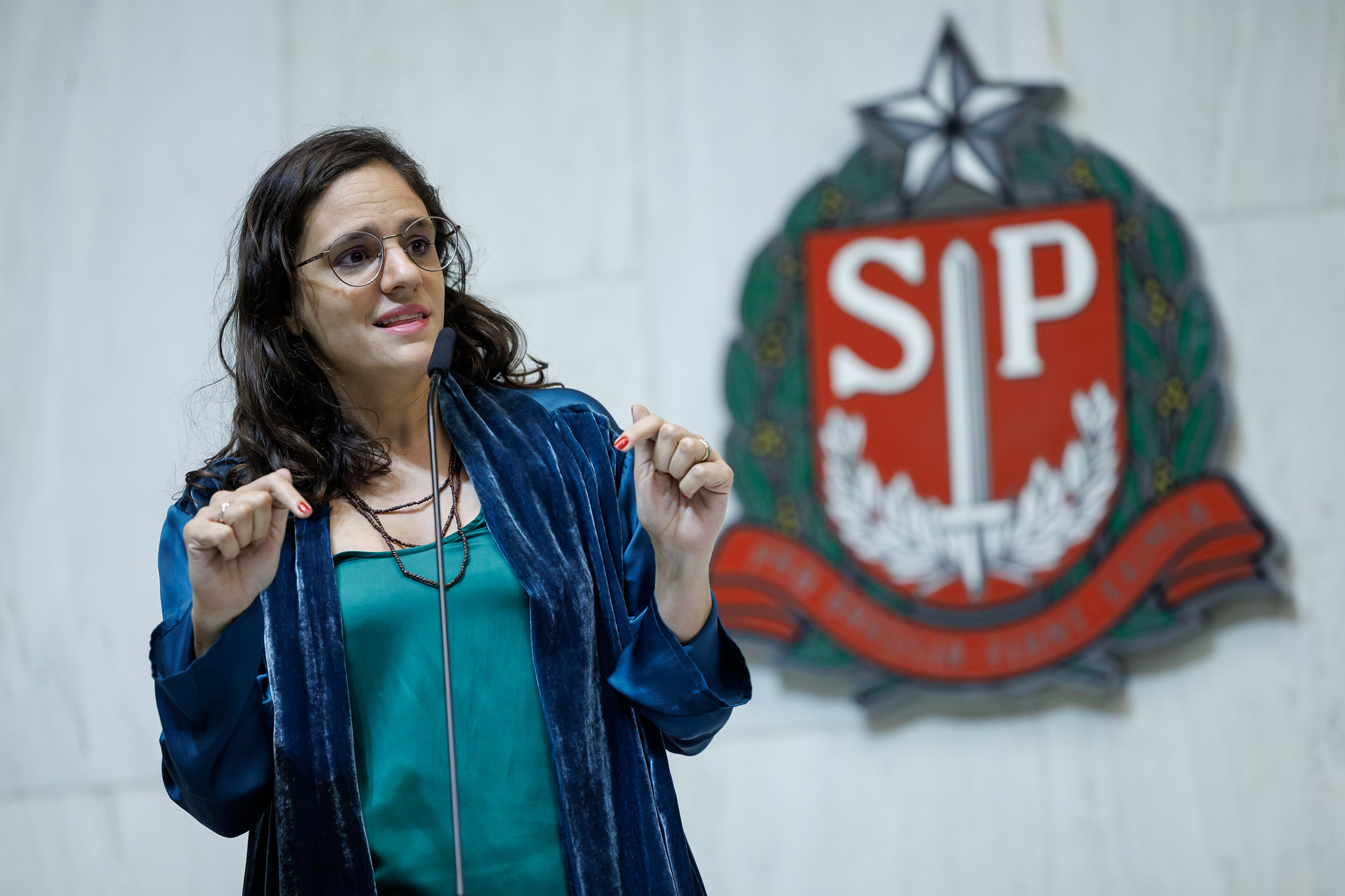 Marina Helou: colocar crianças no centro do debate<a style='float:right;color:#ccc' href='https://www3.al.sp.gov.br/repositorio/noticia/N-05-2025/fg345327.jpg' target=_blank><i class='bi bi-zoom-in'></i> Clique para ver a imagem </a>